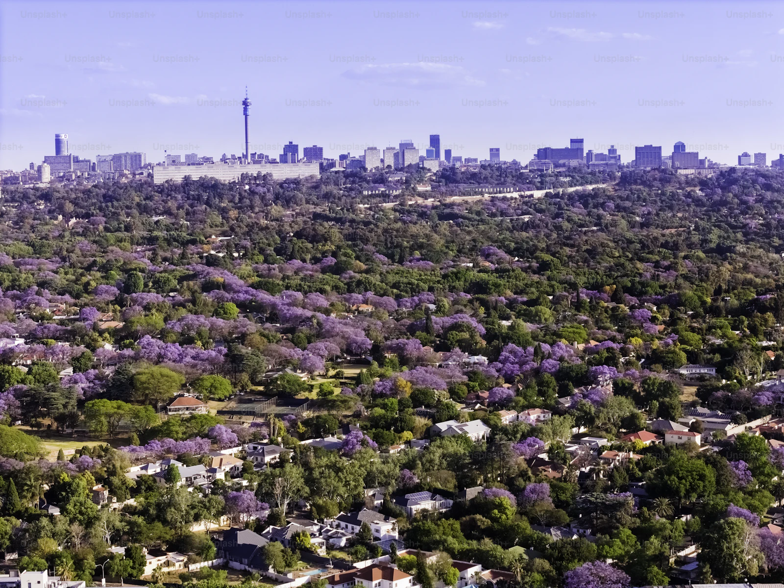 Johannesburg