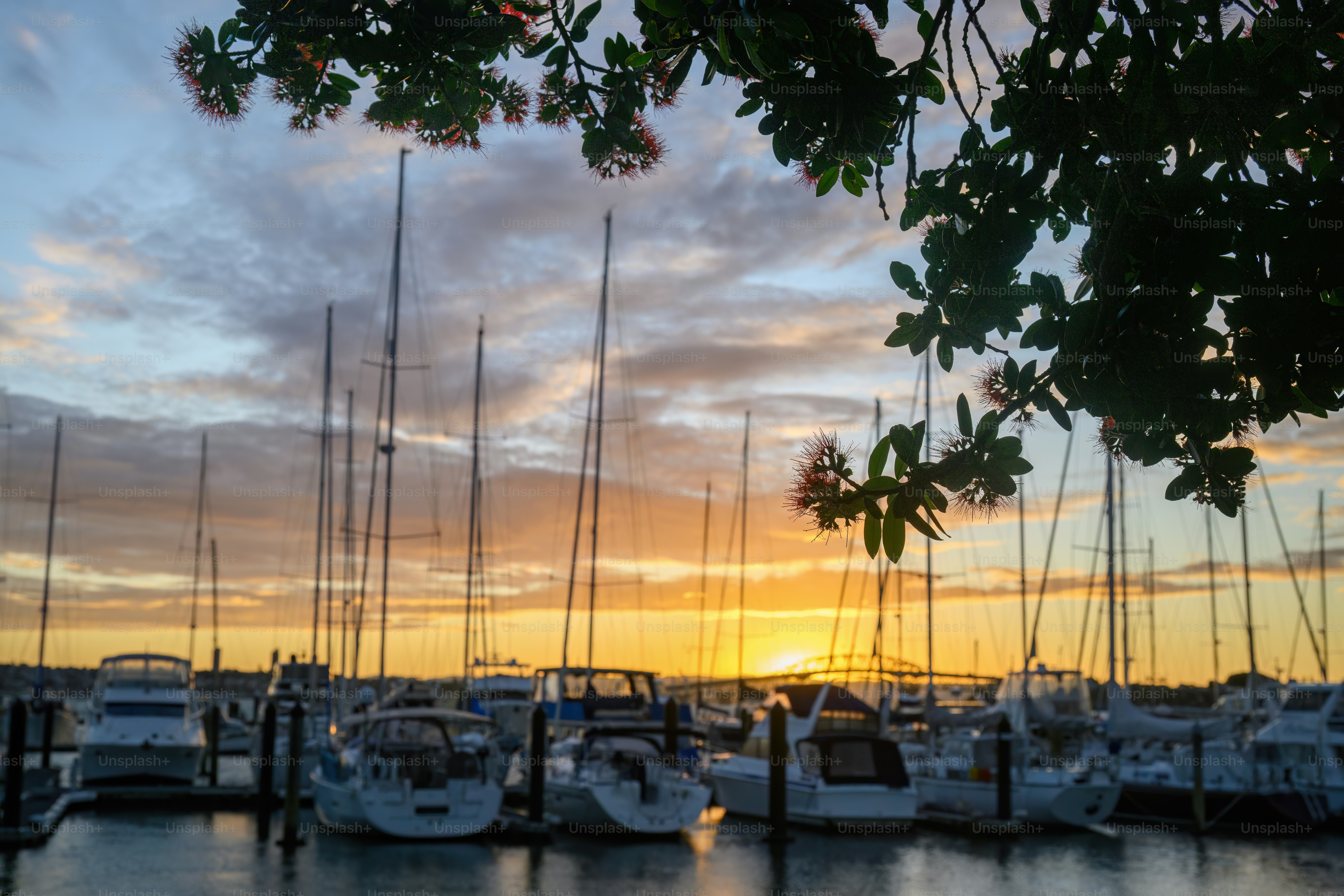 Private marinas and luxury yacht docking at sunset along South America coast