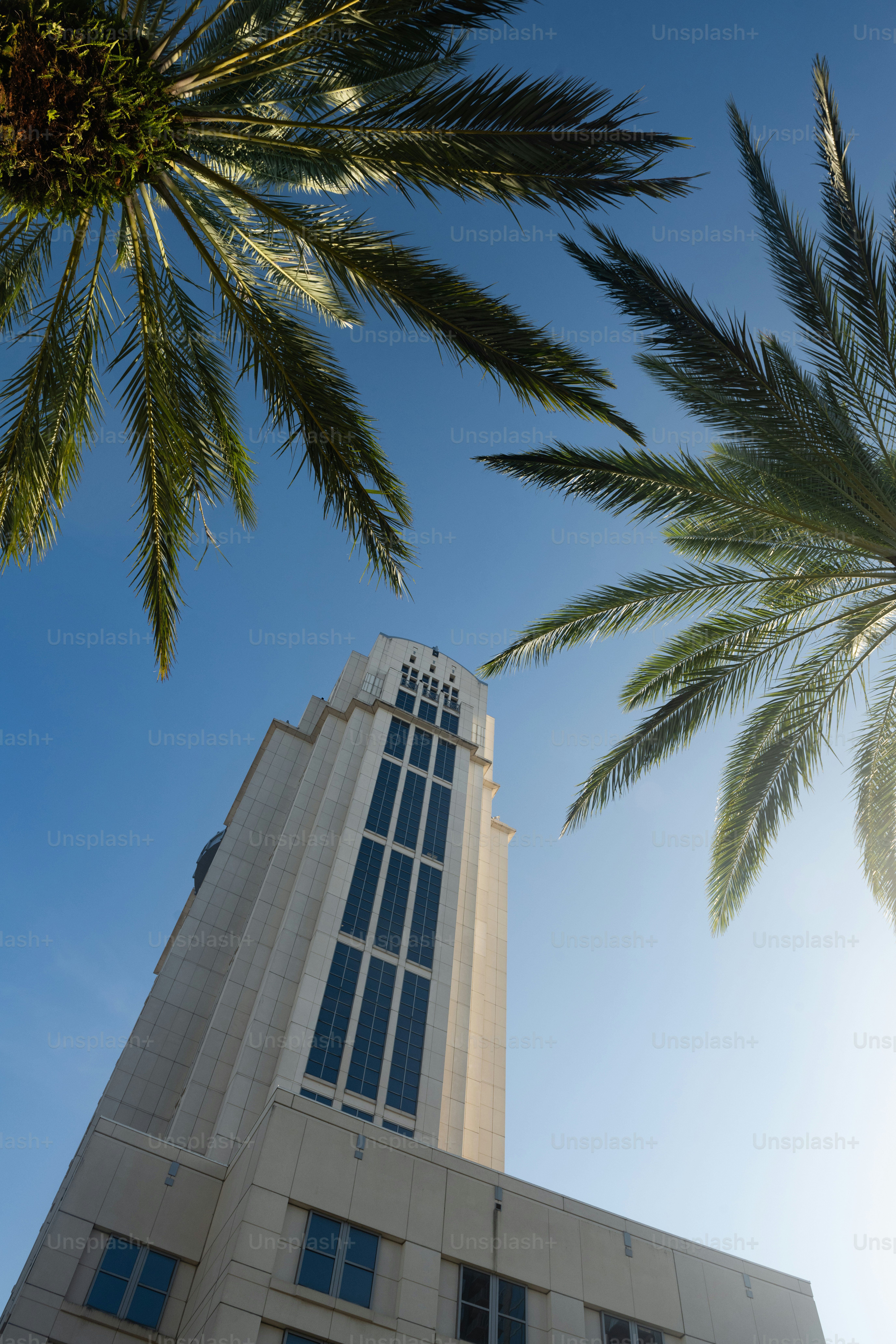 Florida State football’s Mike Norvell defends Tommy Castellanos after Alabama dig