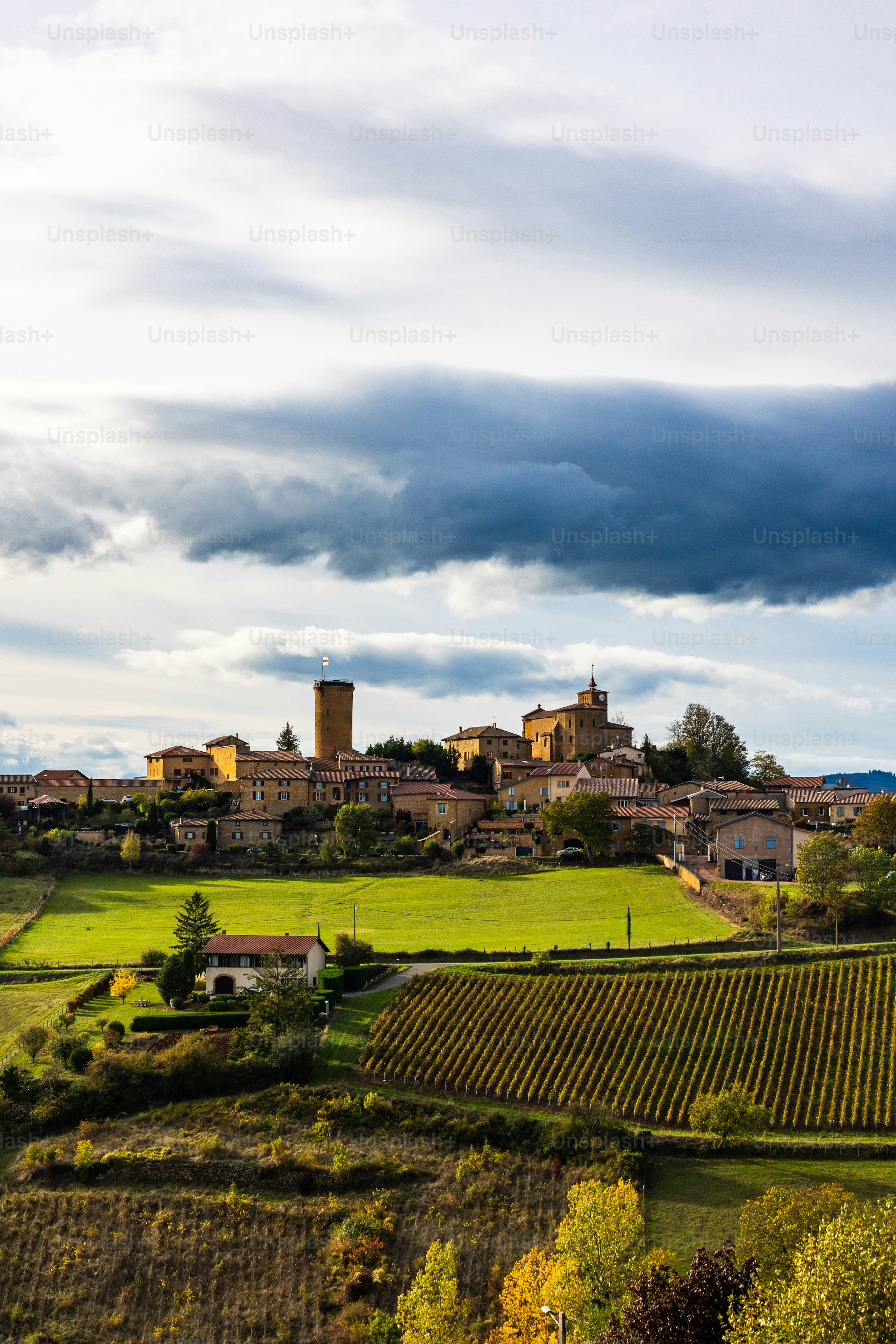 Panorama of the village of Oingt, dominated by its tower and famous for its golden stones, near Lyon