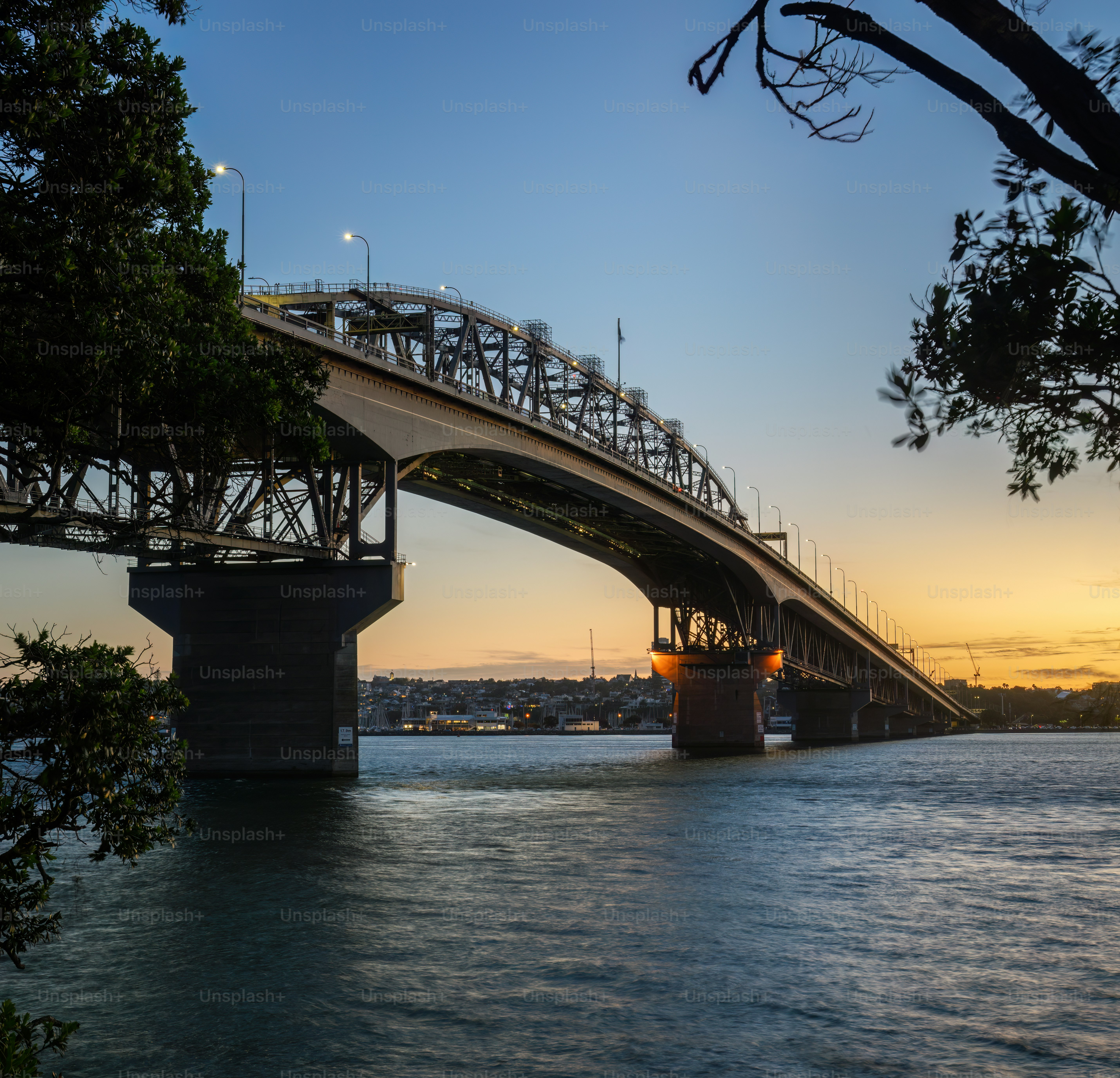 Auckland Harbour Bridge framed by Pohutukawa trees at sunset.
