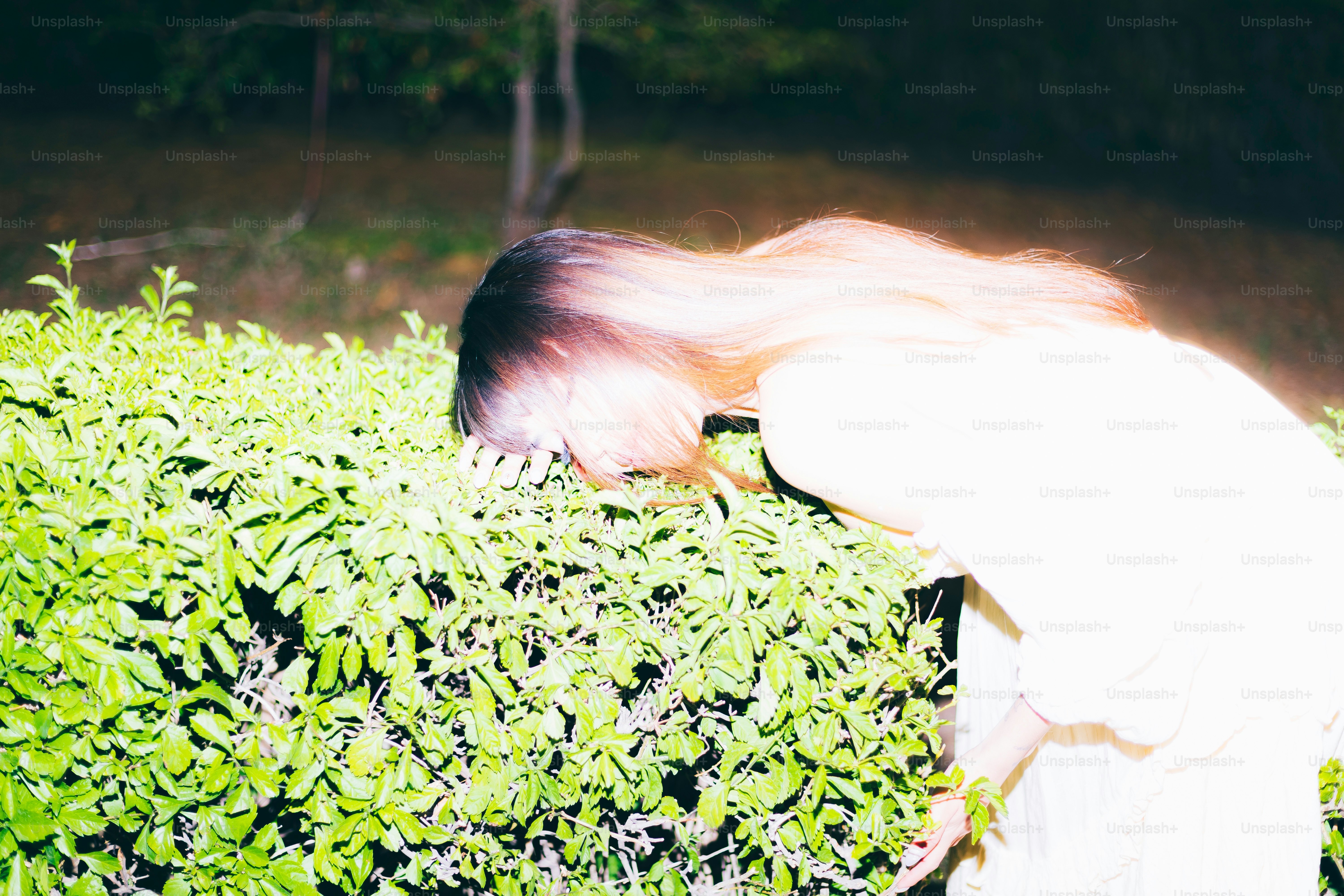 Eine Person betrachtet Pflanzen in einem Busch.