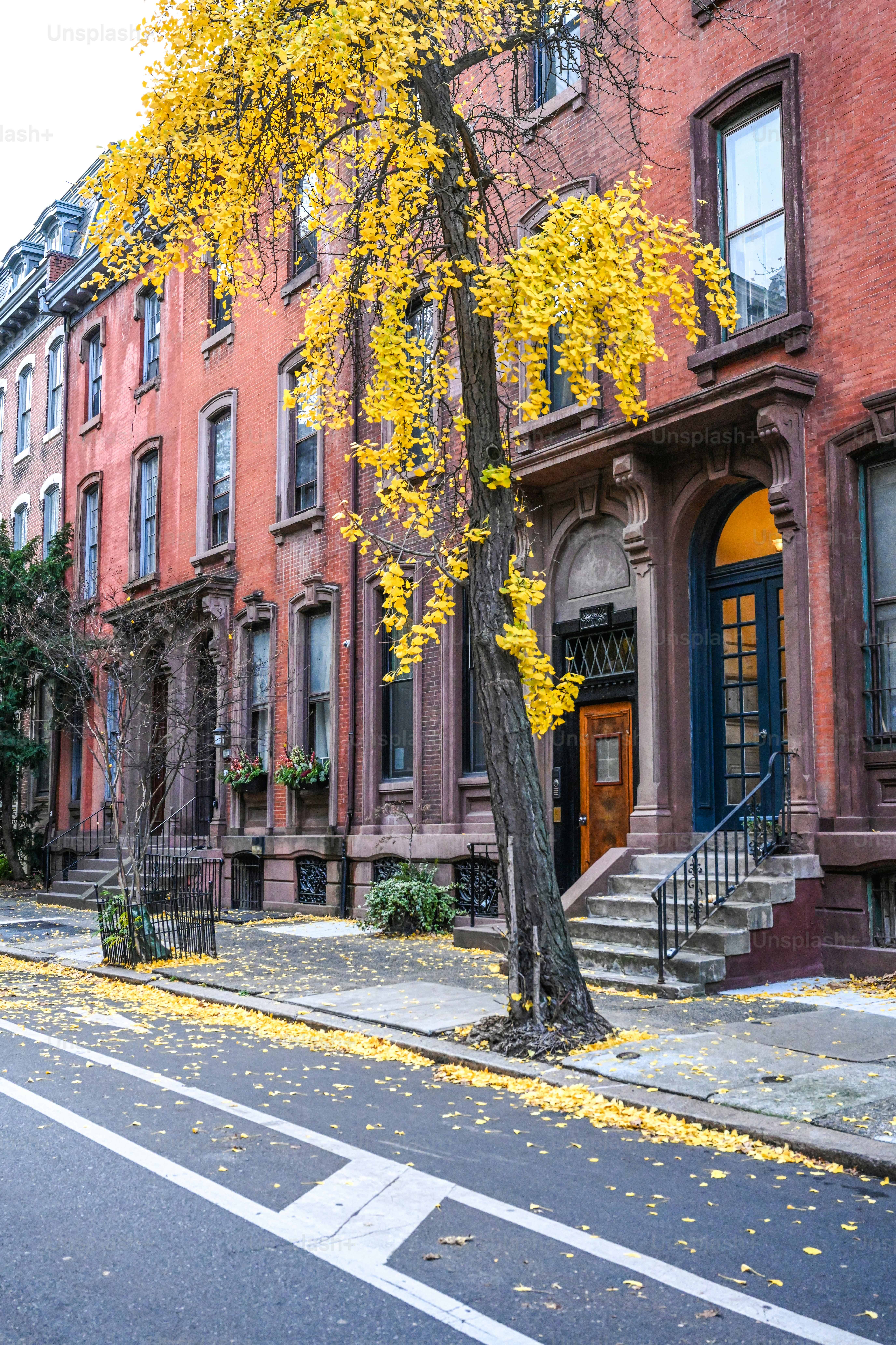 Residential street of Philadelphia in the autumn