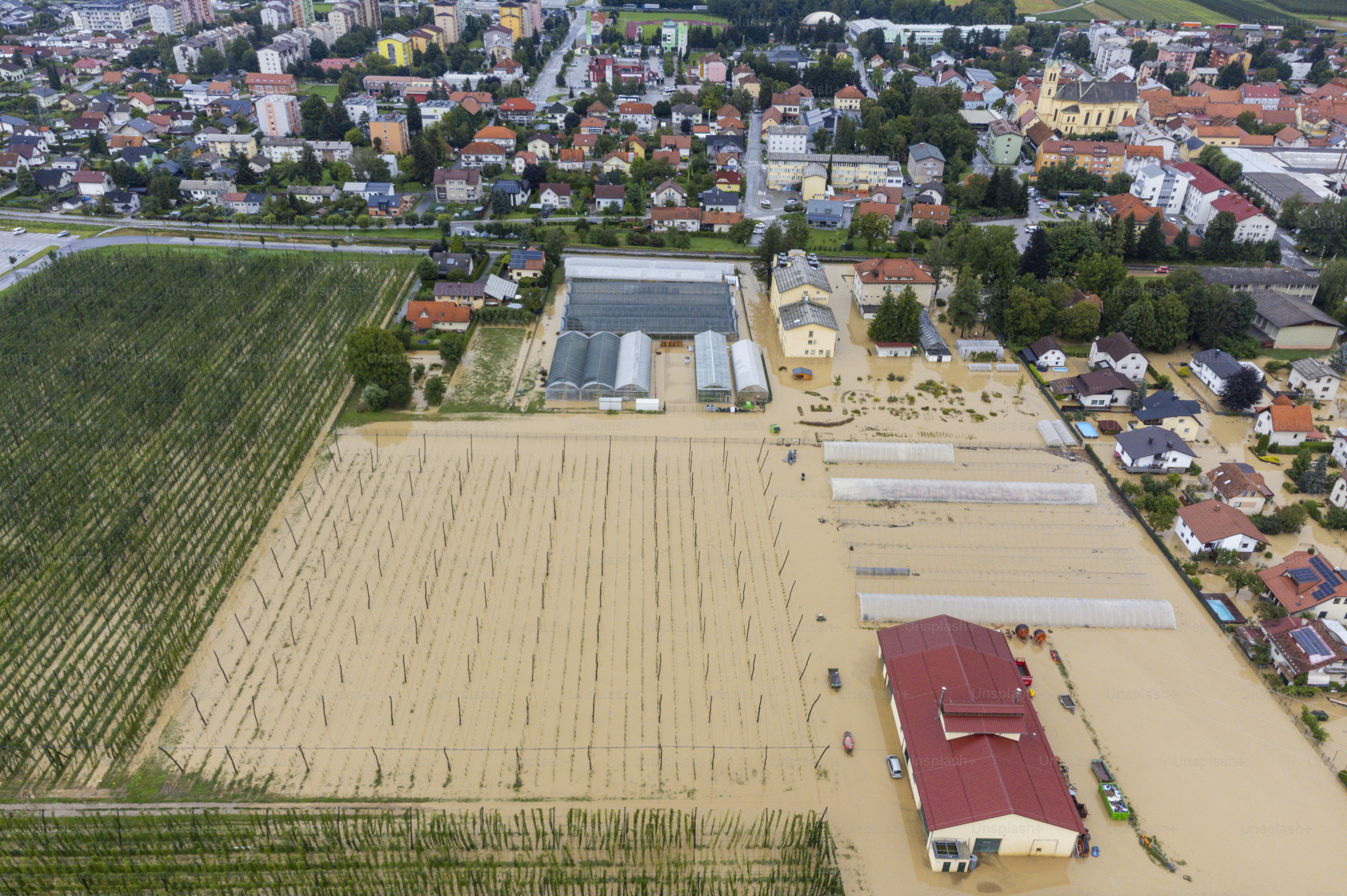 Aerial view of flooded farmland with submerged fields and trees, showcasing the impact of natural disasters on agriculture. Location: Zalec, Slovenia