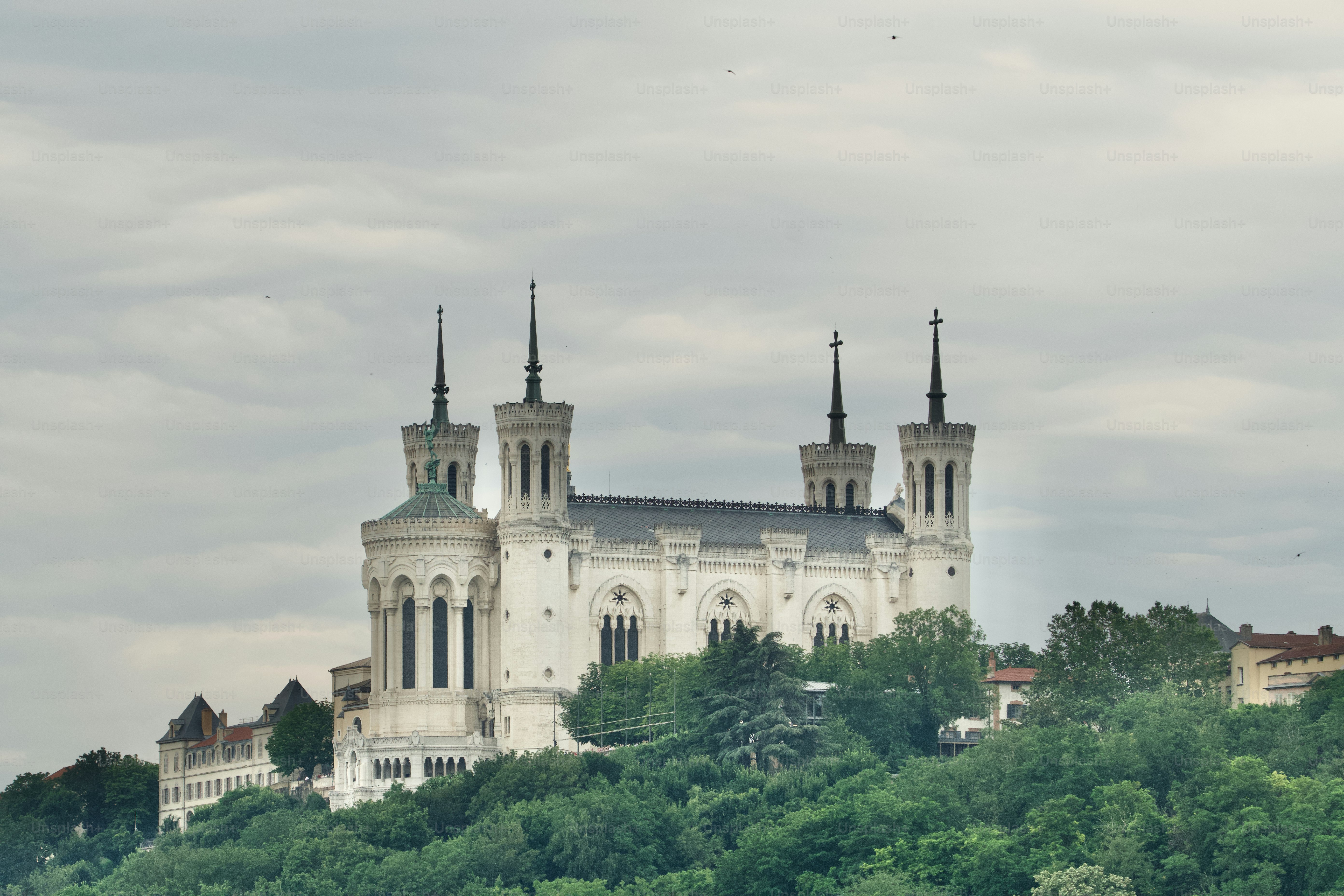 Basilica Our Lady of Fourvière surrounded by trees at the top of the Fourvière hill on a summer cloudy day in Lyon, France