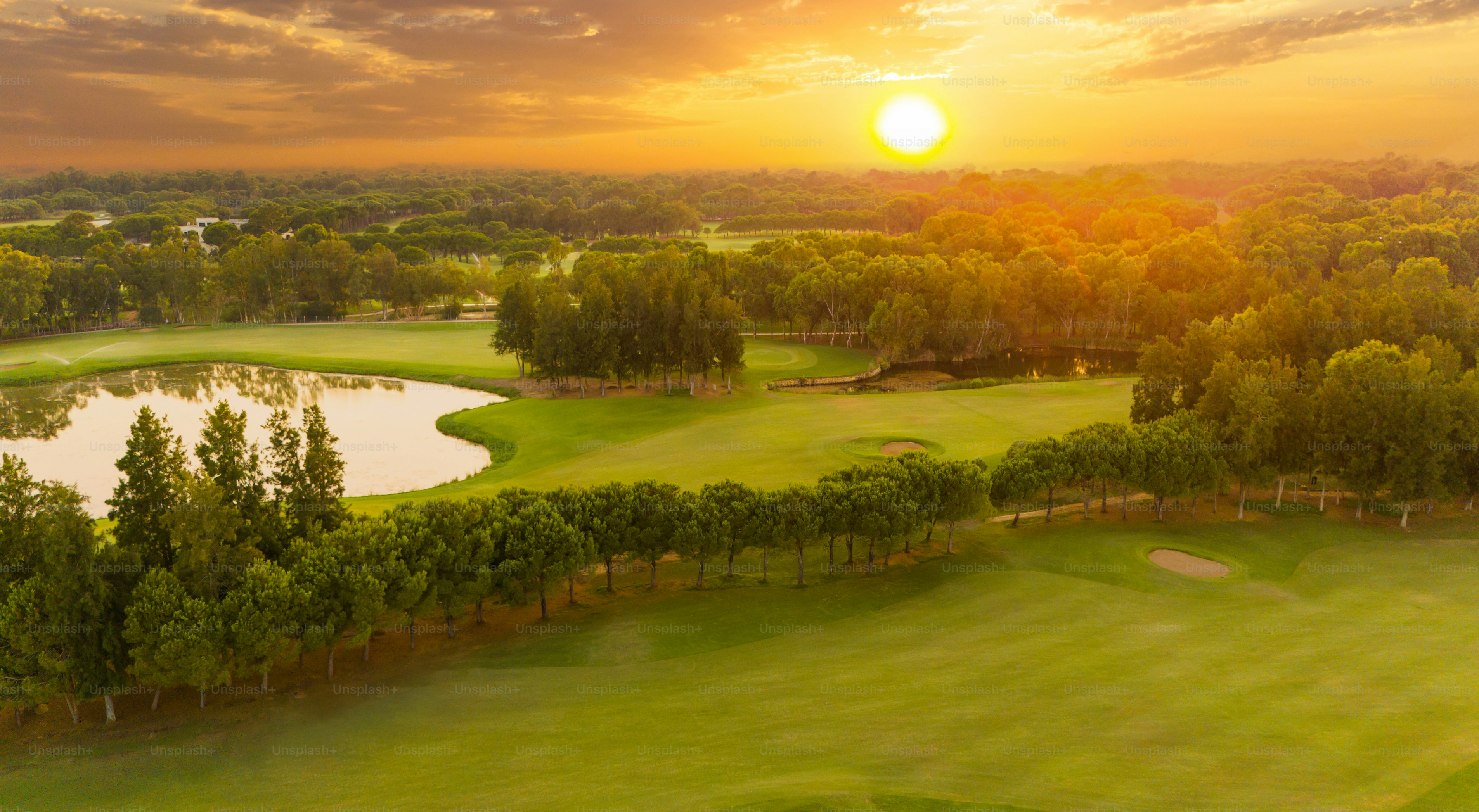 夕暮れ時のゴルフコース。美しい空と夕暮れ時のゴルフコースの美しいパノラマビュー。松の木のあるゴルフフェアウェイ