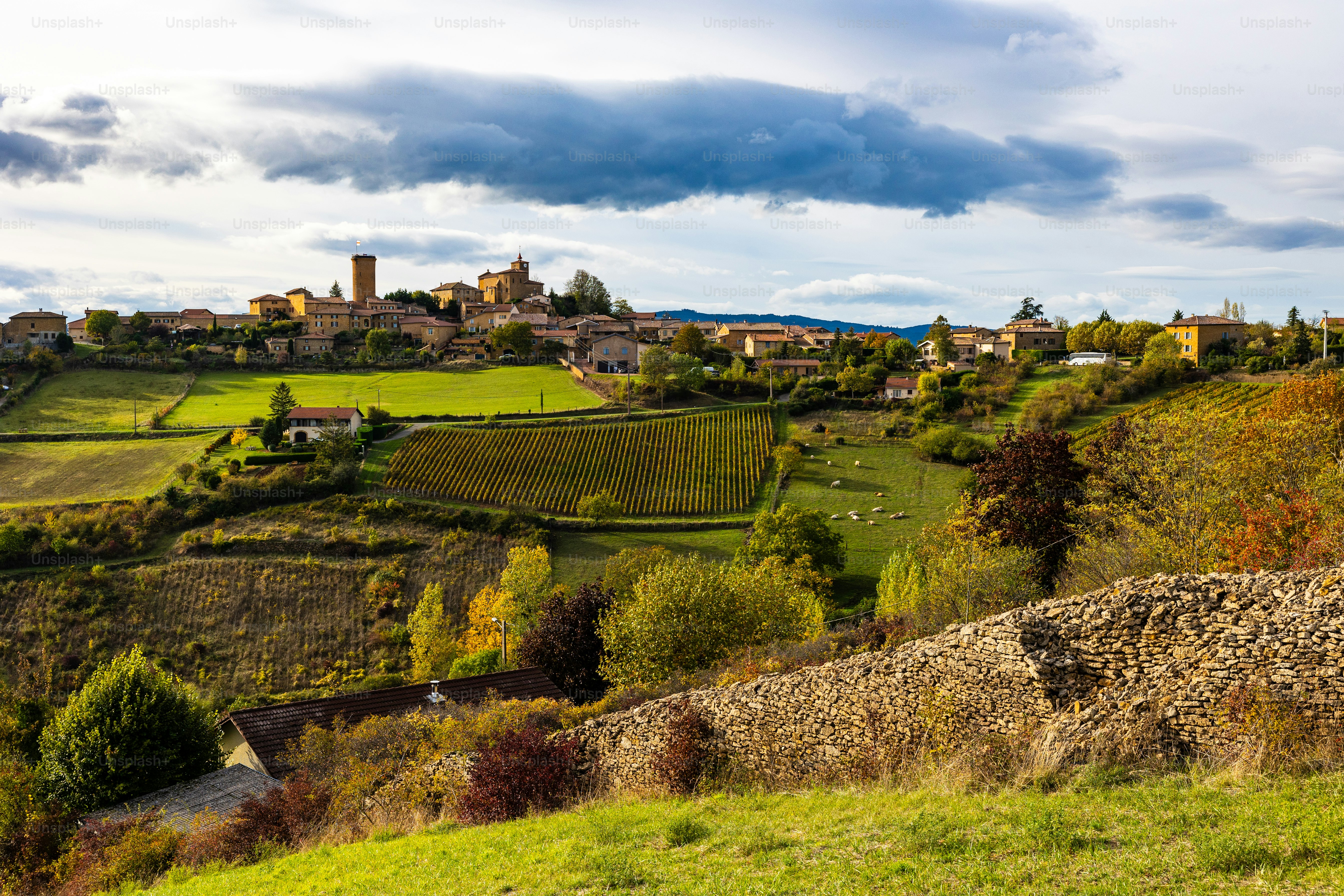 Panorama of the village of Oingt, dominated by its tower and famous for its golden stones, near Lyon