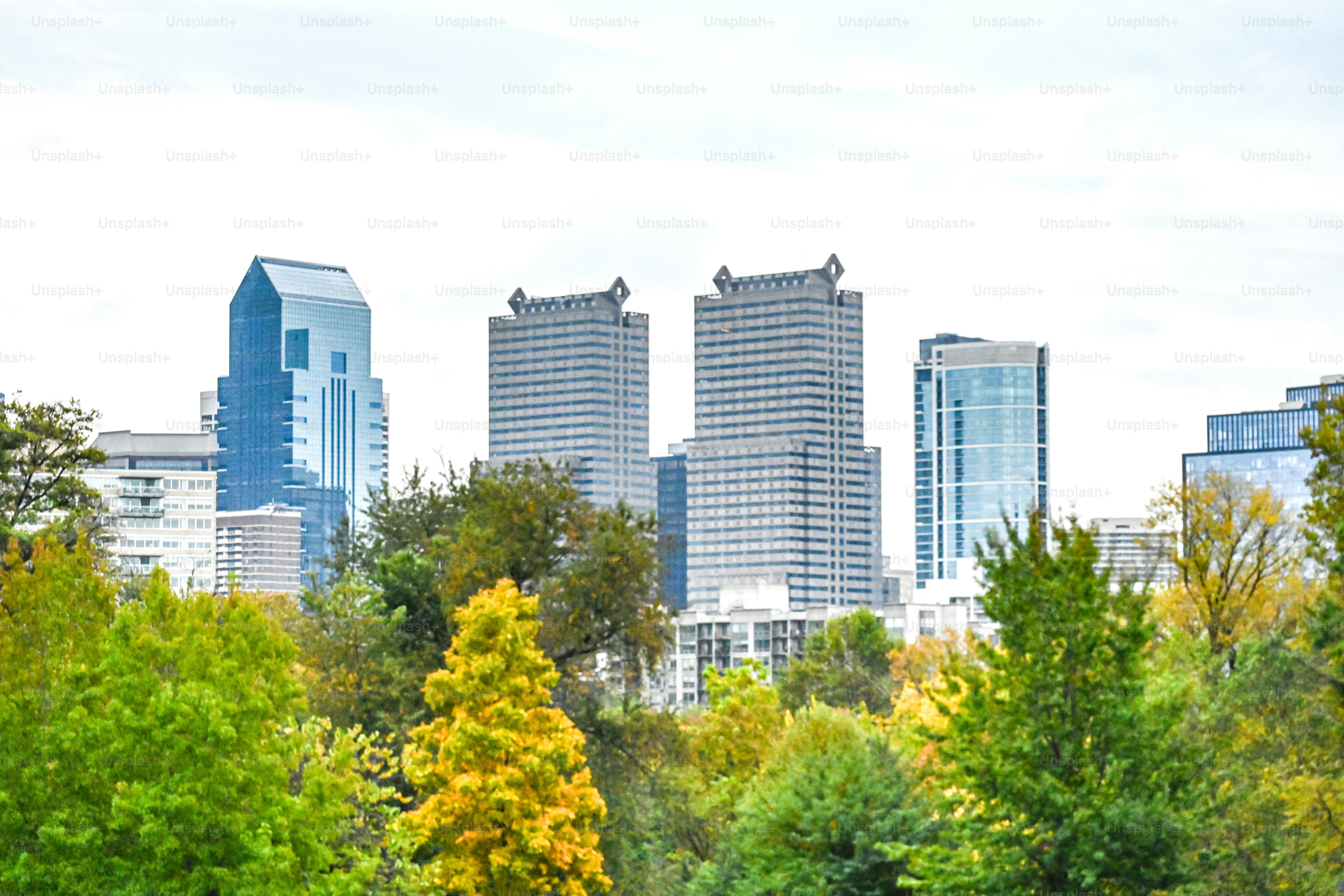 Autumn in center city Philadelphia. Trees in the foreground and Philadelphia’s skyline in the back.