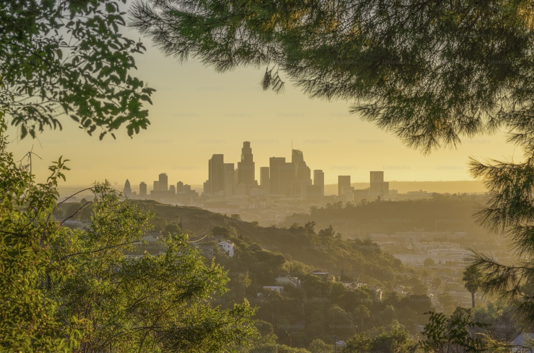 city of Los Angeles in sunset