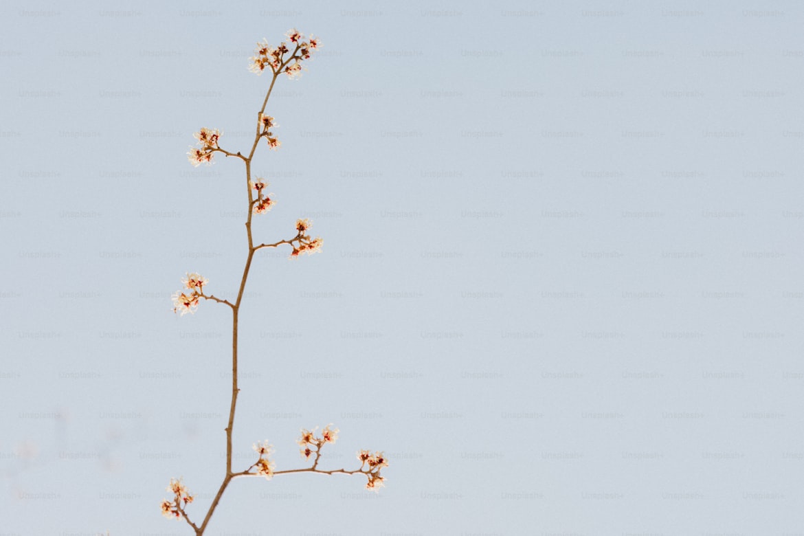 Git branching concept