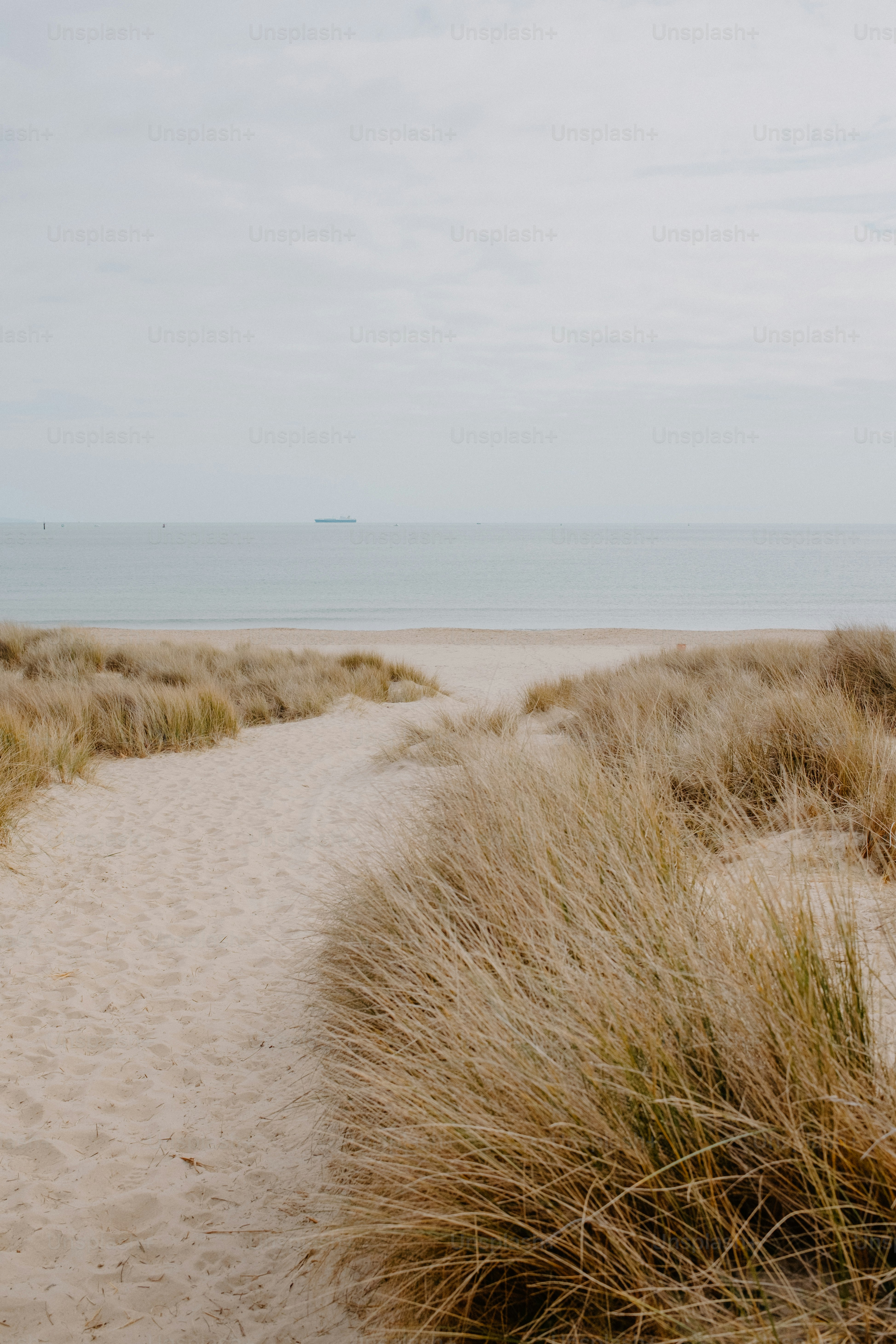 A sandy path leads to the calm, gray ocean.