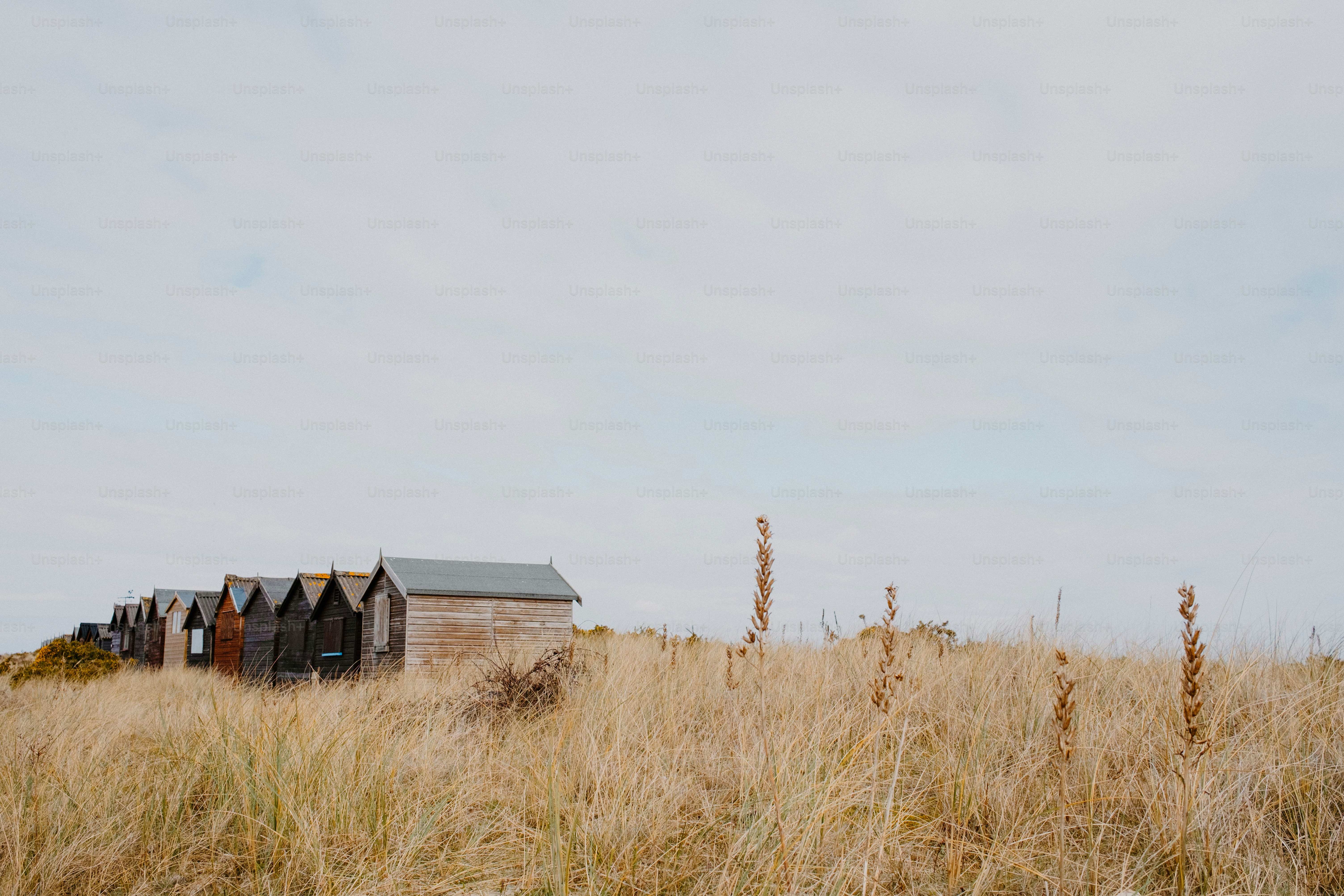 Beach huts in a field under a cloudy sky.