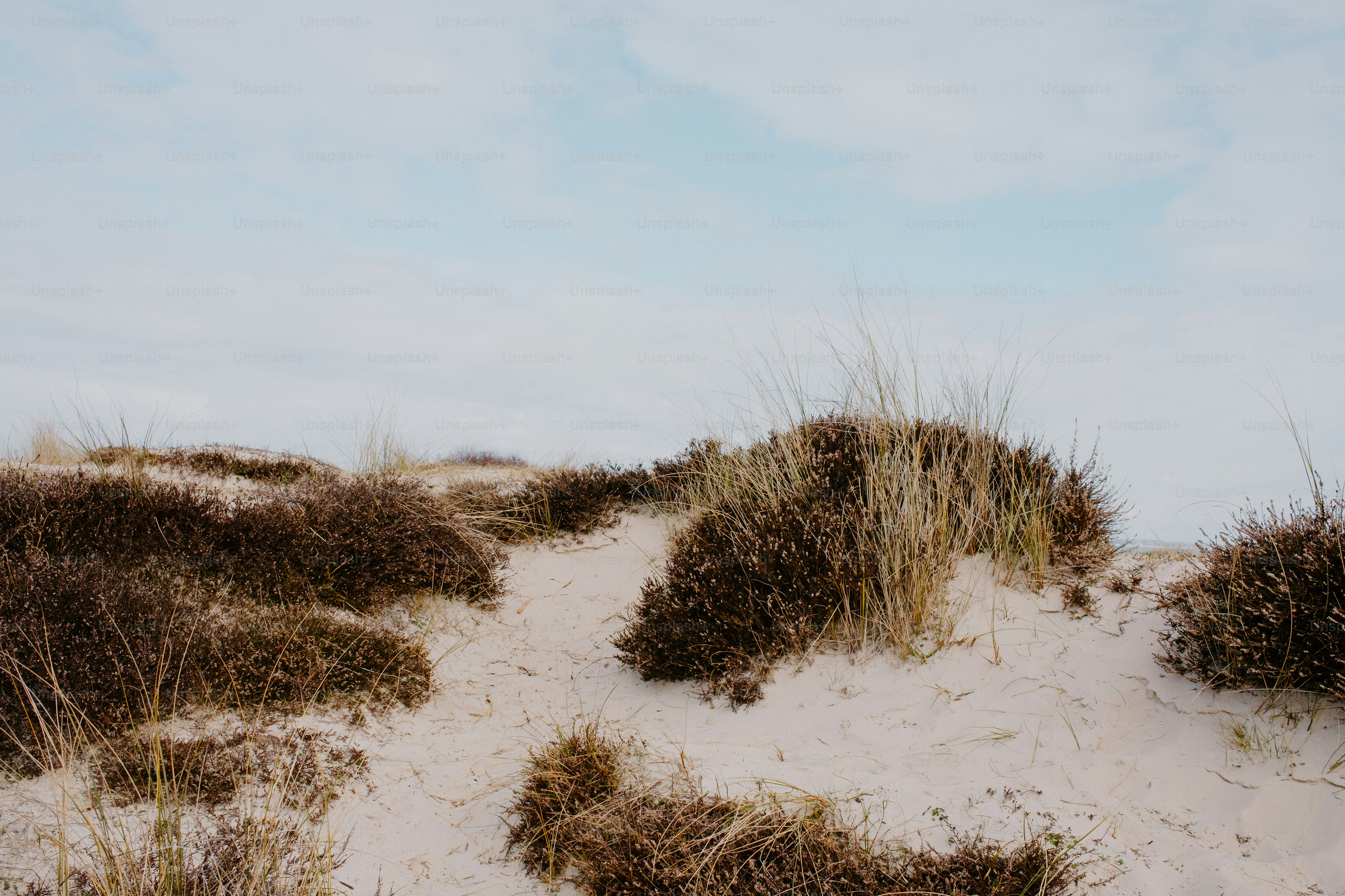 Sandy dunes with plants under a cloudy sky.
