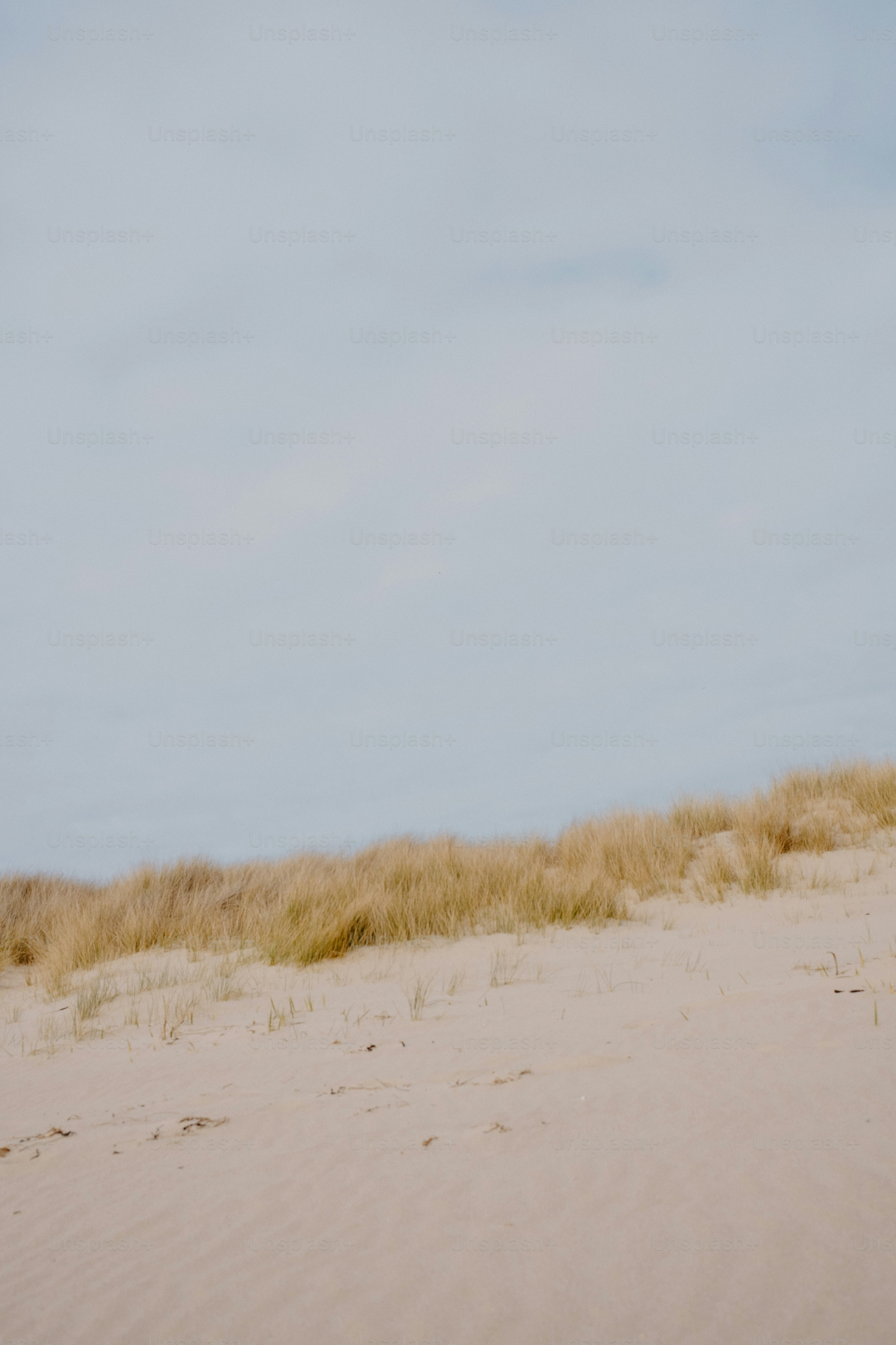 Sandy dunes and tall grass under a cloudy sky.