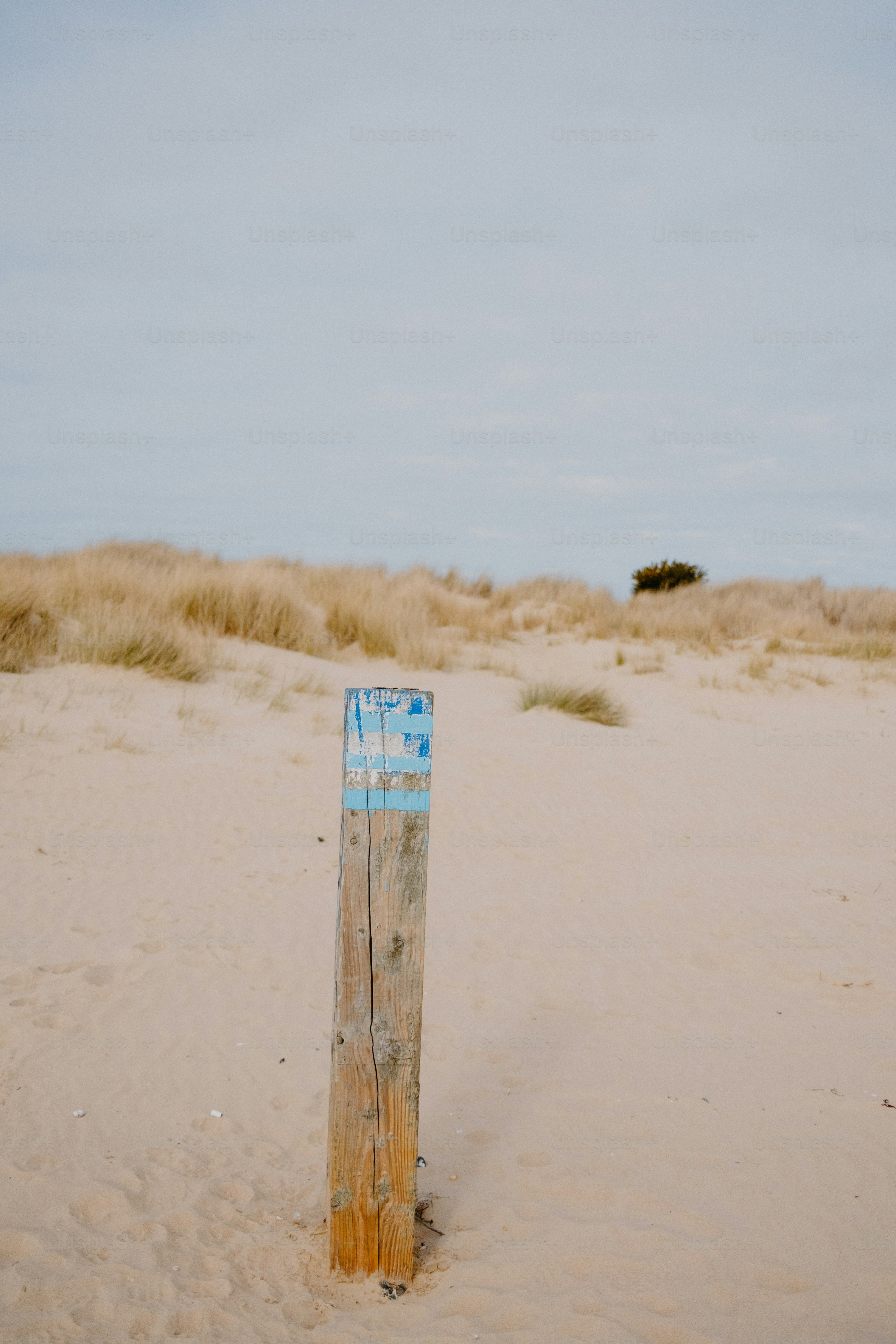 Wooden post on a sandy beach landscape.
