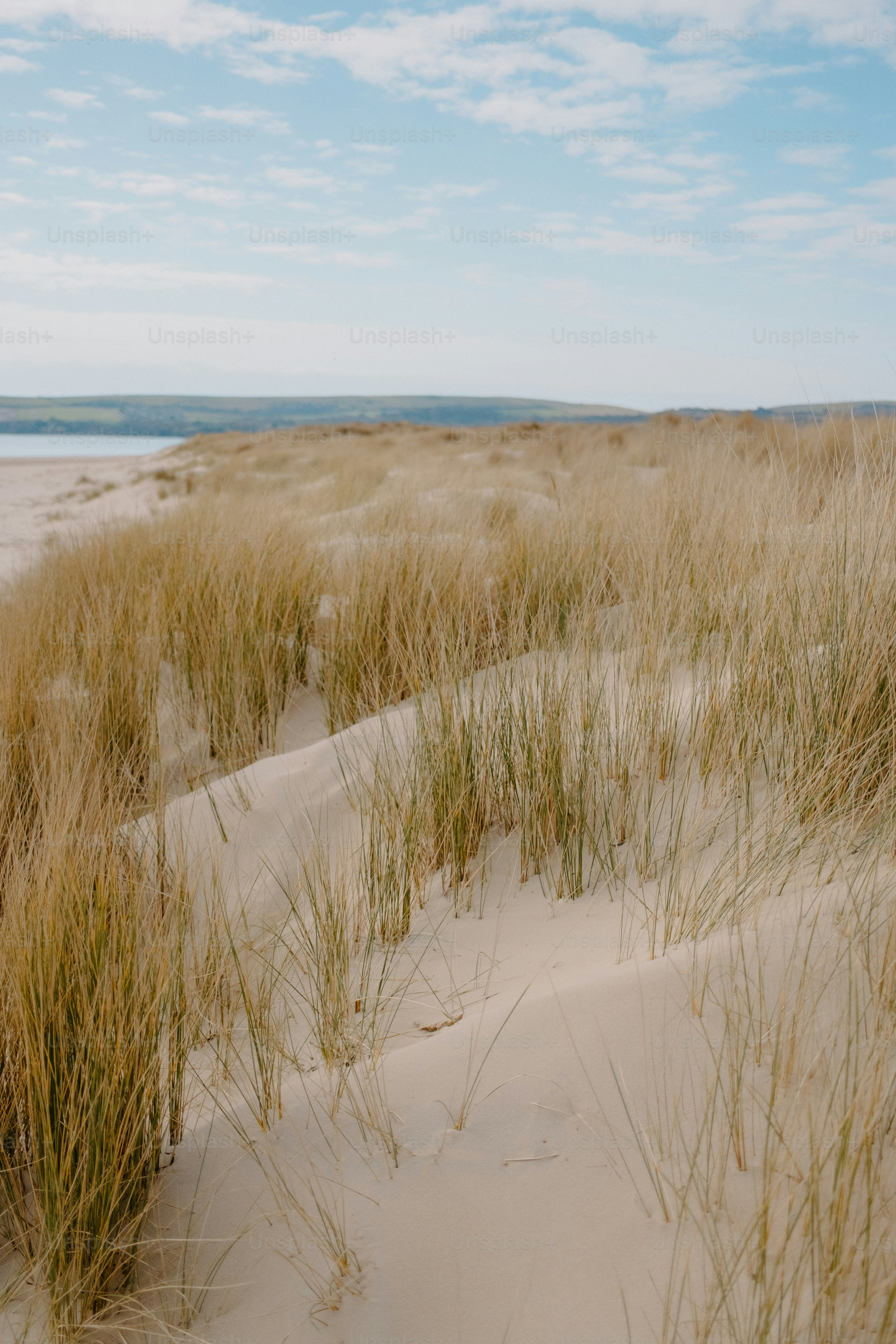 Sand dunes and tall grass line the beautiful coast.