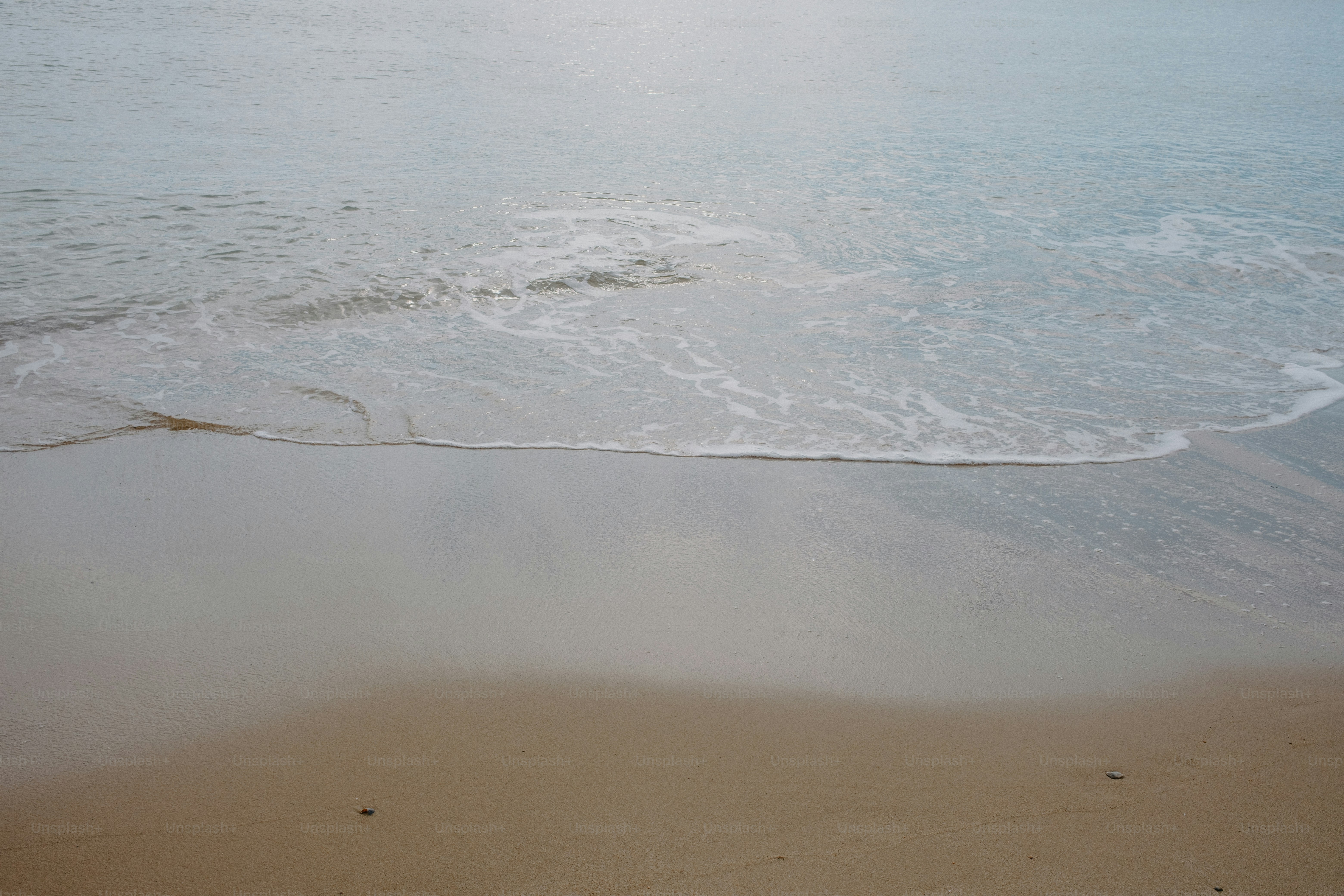 The wave gently washes over the sandy beach