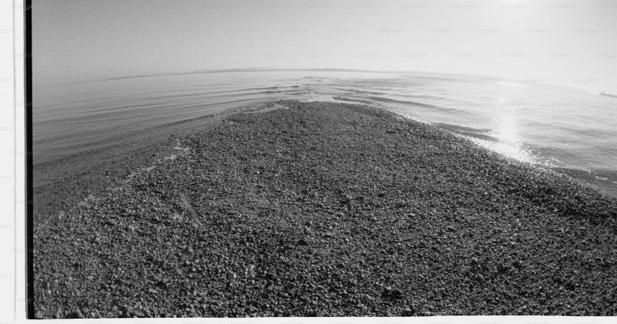 Un rivage est vu avec le soleil éclatant. photo – Image de Plage sur ...