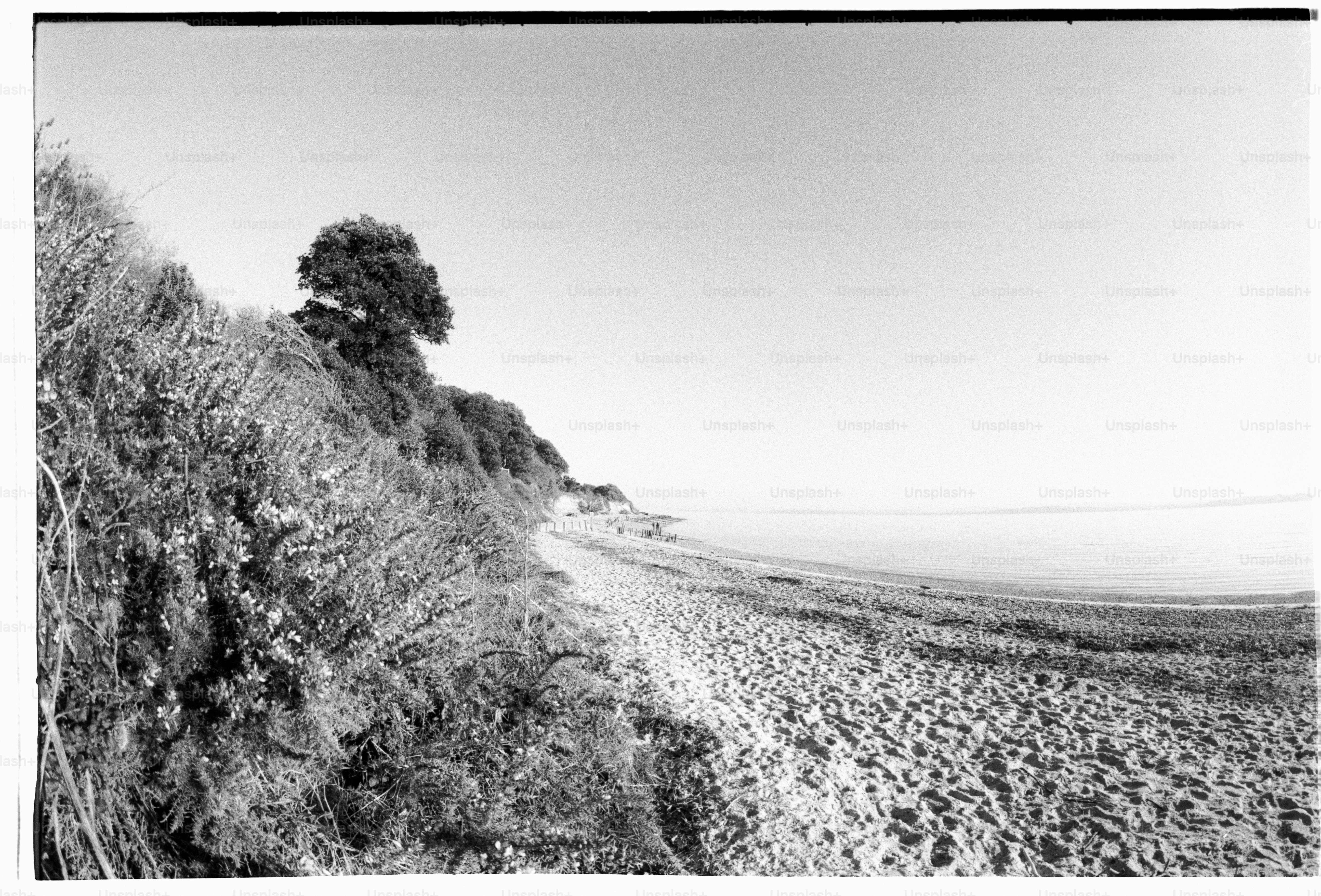 A beach scene is shown in black and white. photo – Beach Image on Unsplash