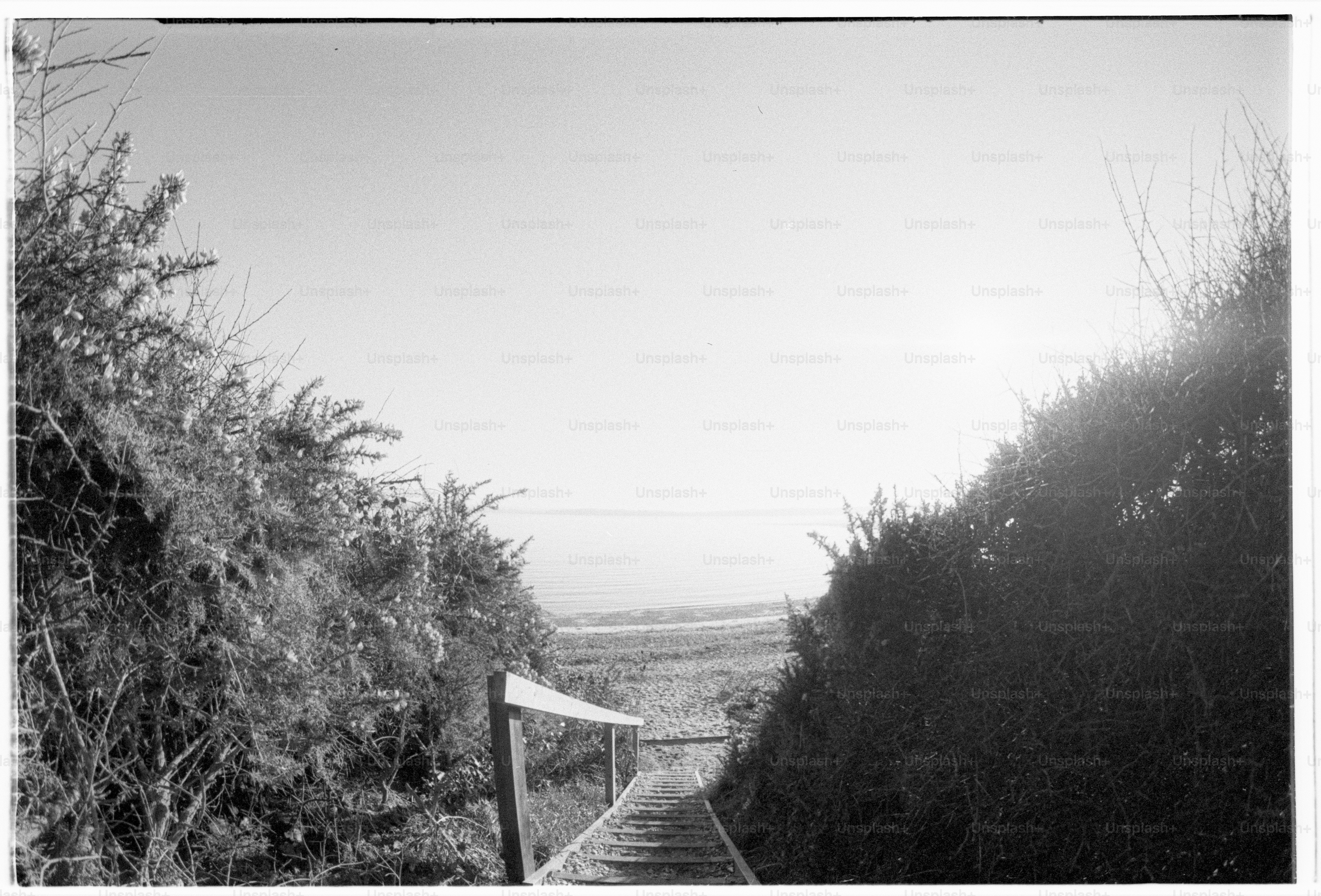 Stairway path leads to a bright seaside view.
