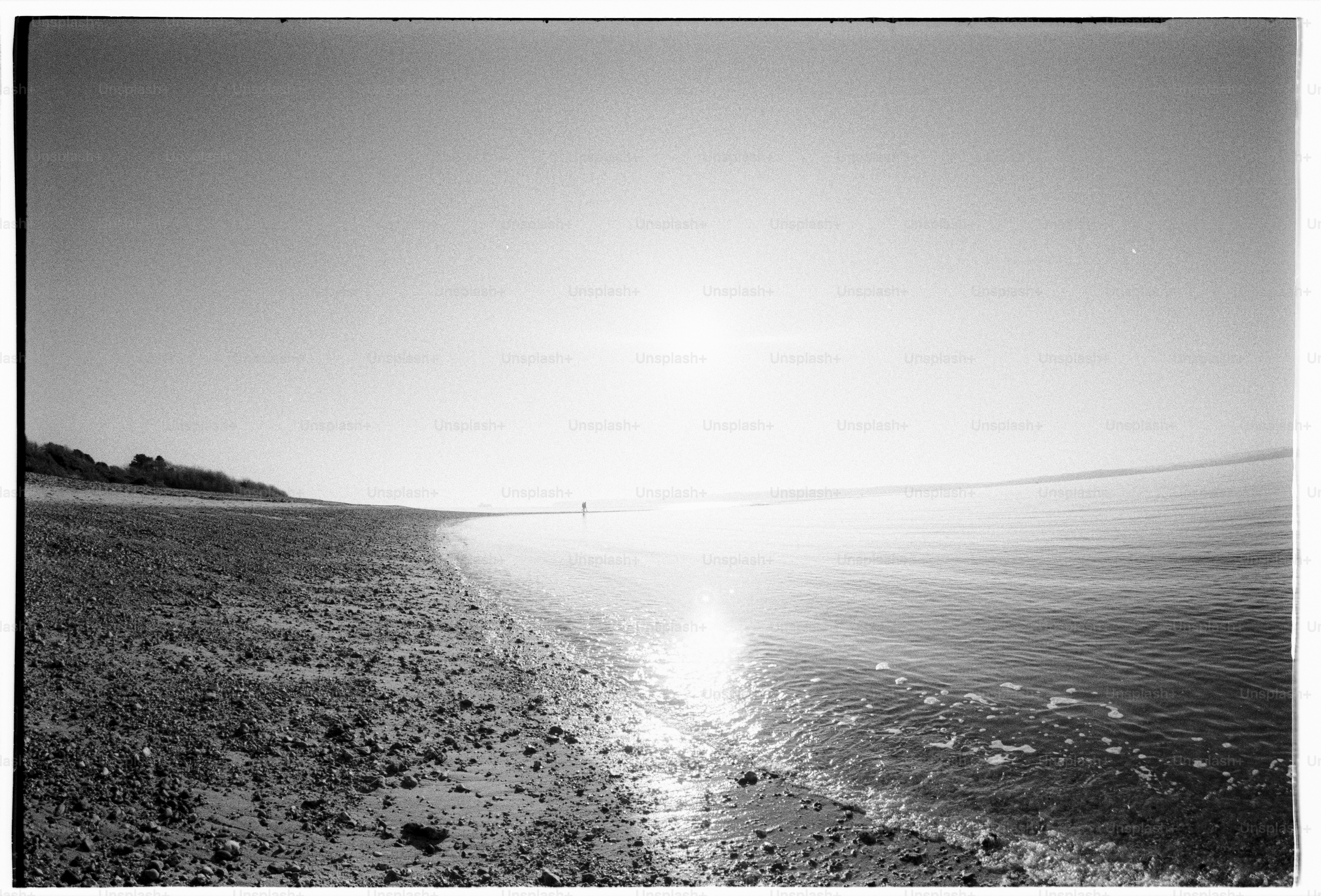 Sun shines brightly over the shore's edge.
