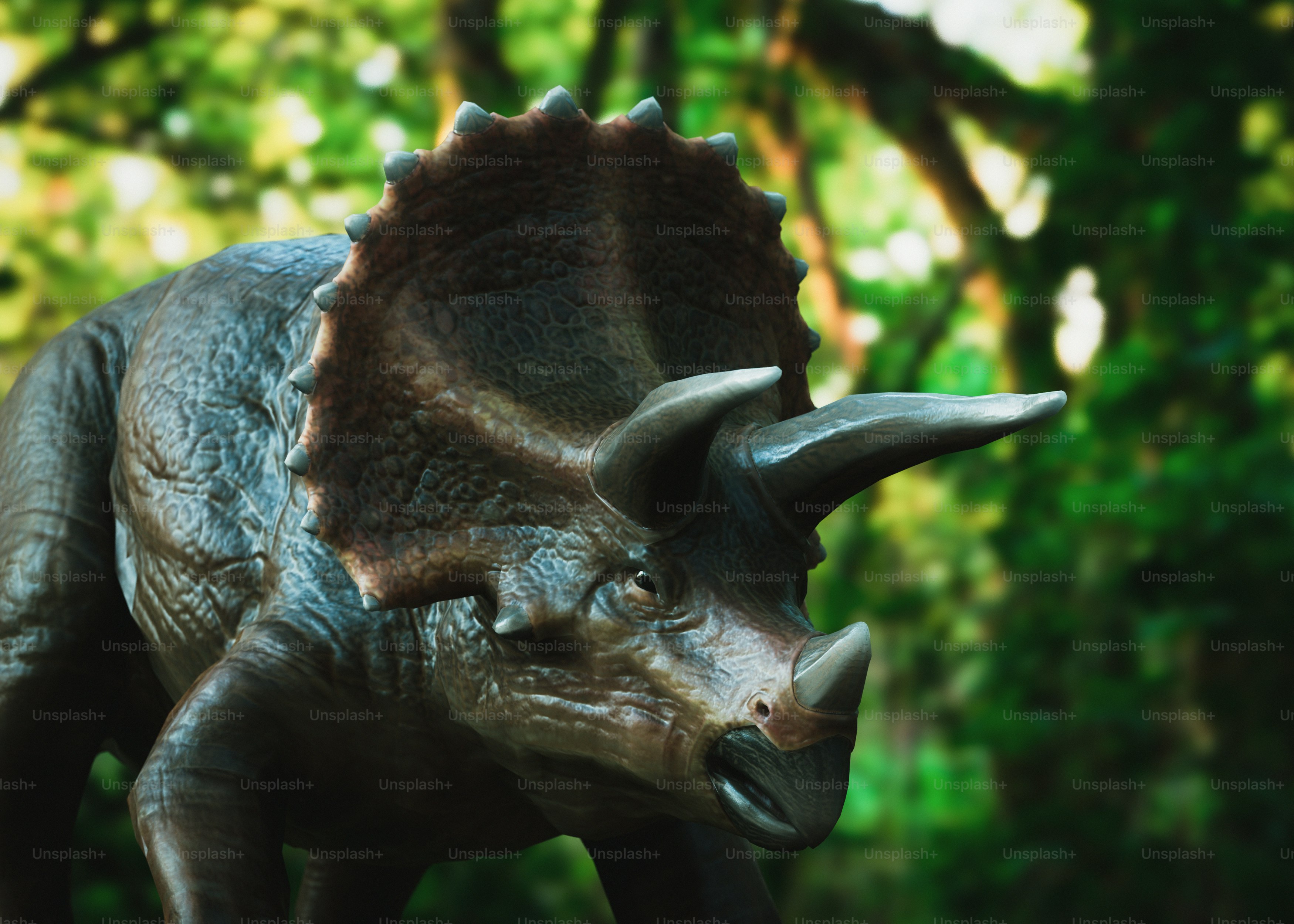 Sebuah triceratops berdiri di hutan.