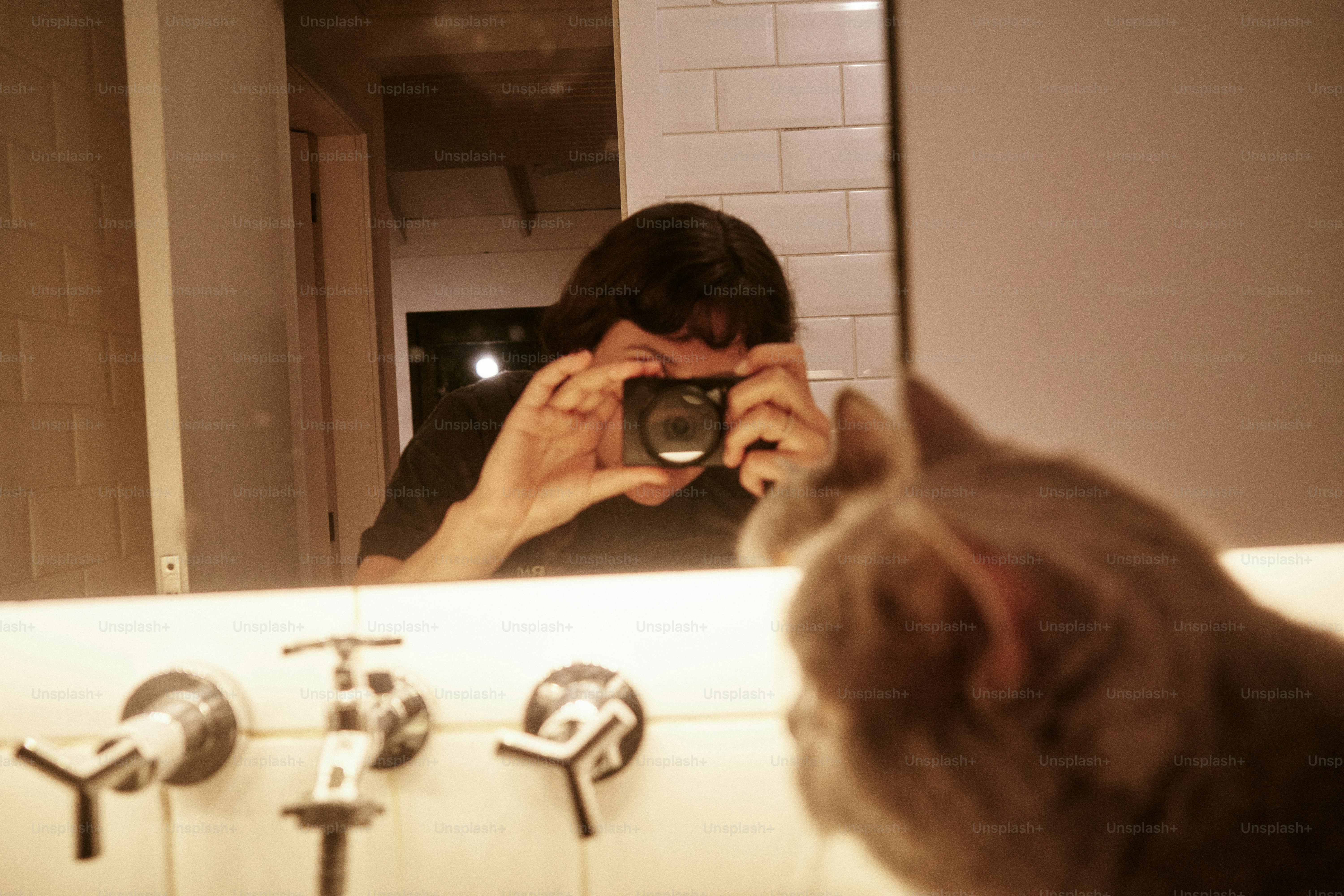 Eine Person macht ein Foto von einer Katze.