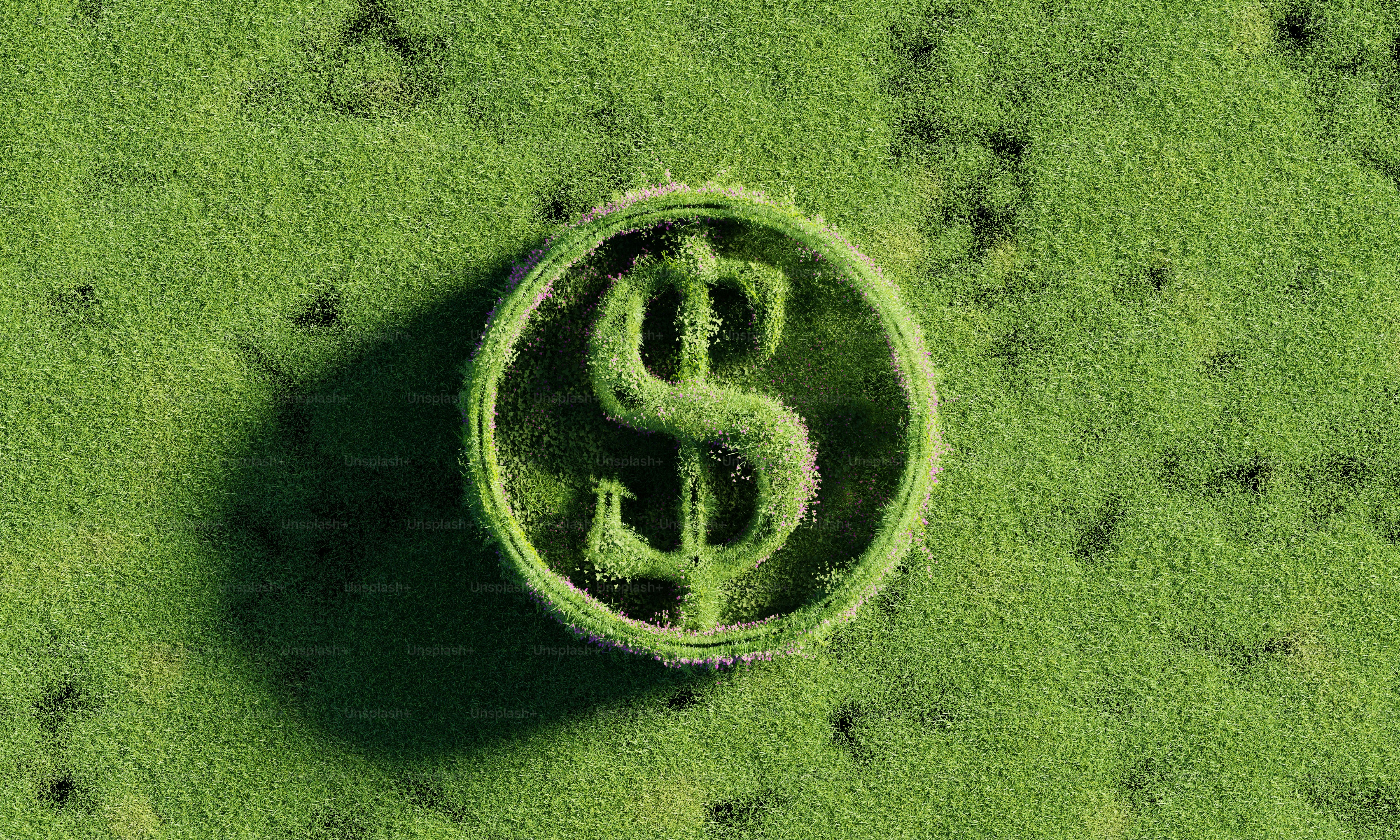 Dollar sign symbol molded in green.