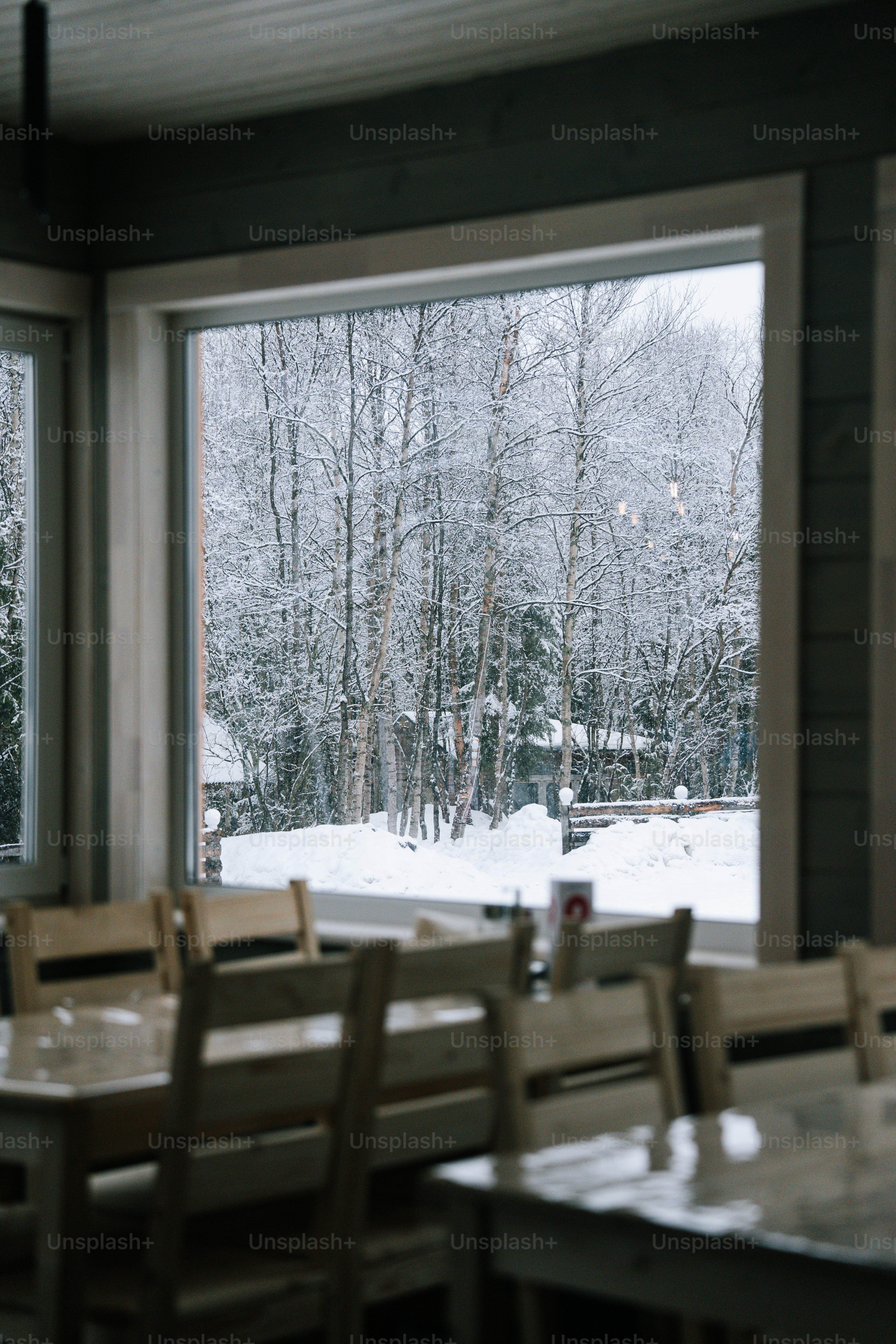 A snowy landscape is seen through a window.