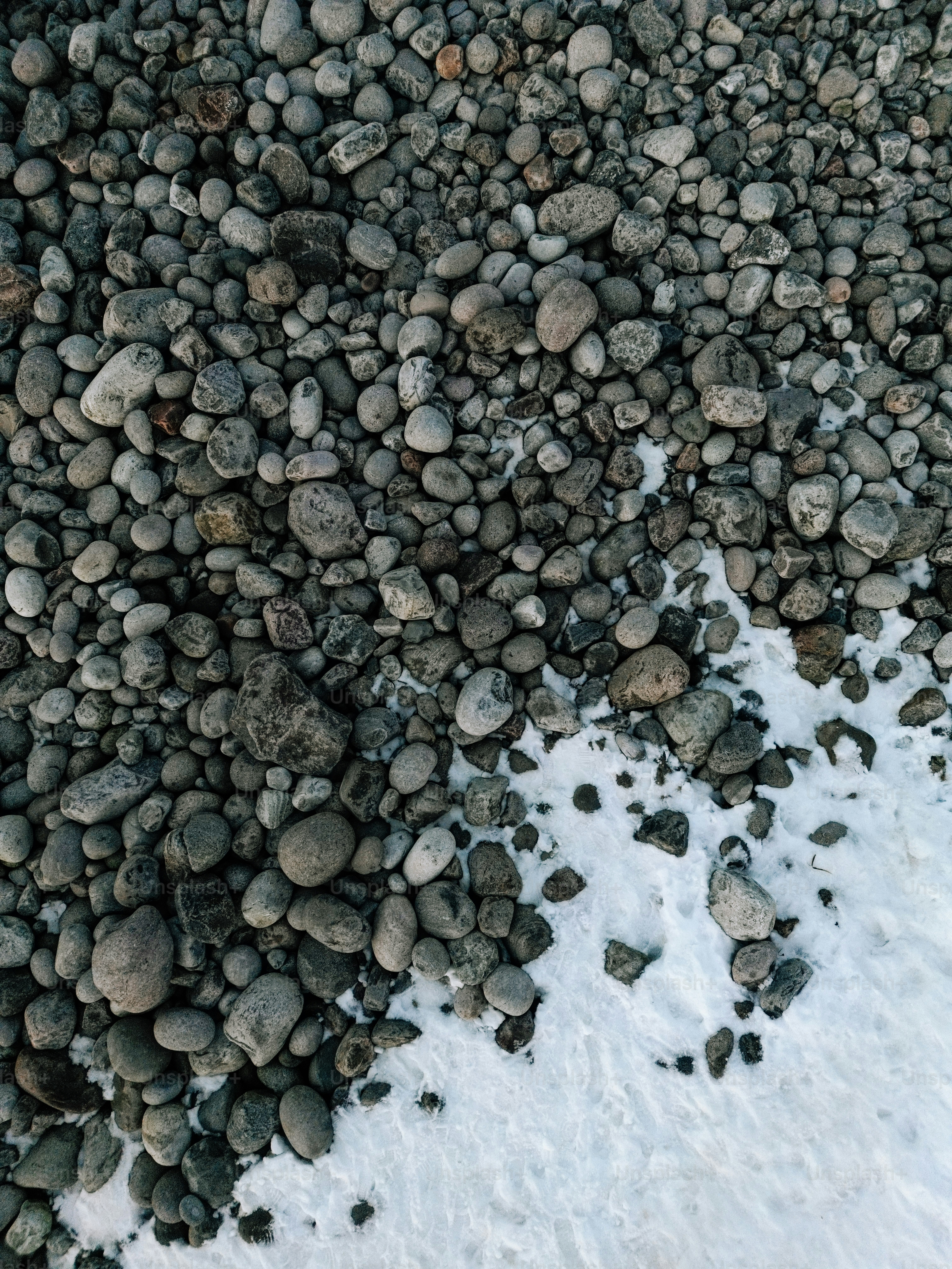 Gray rocks and snow cover the ground.