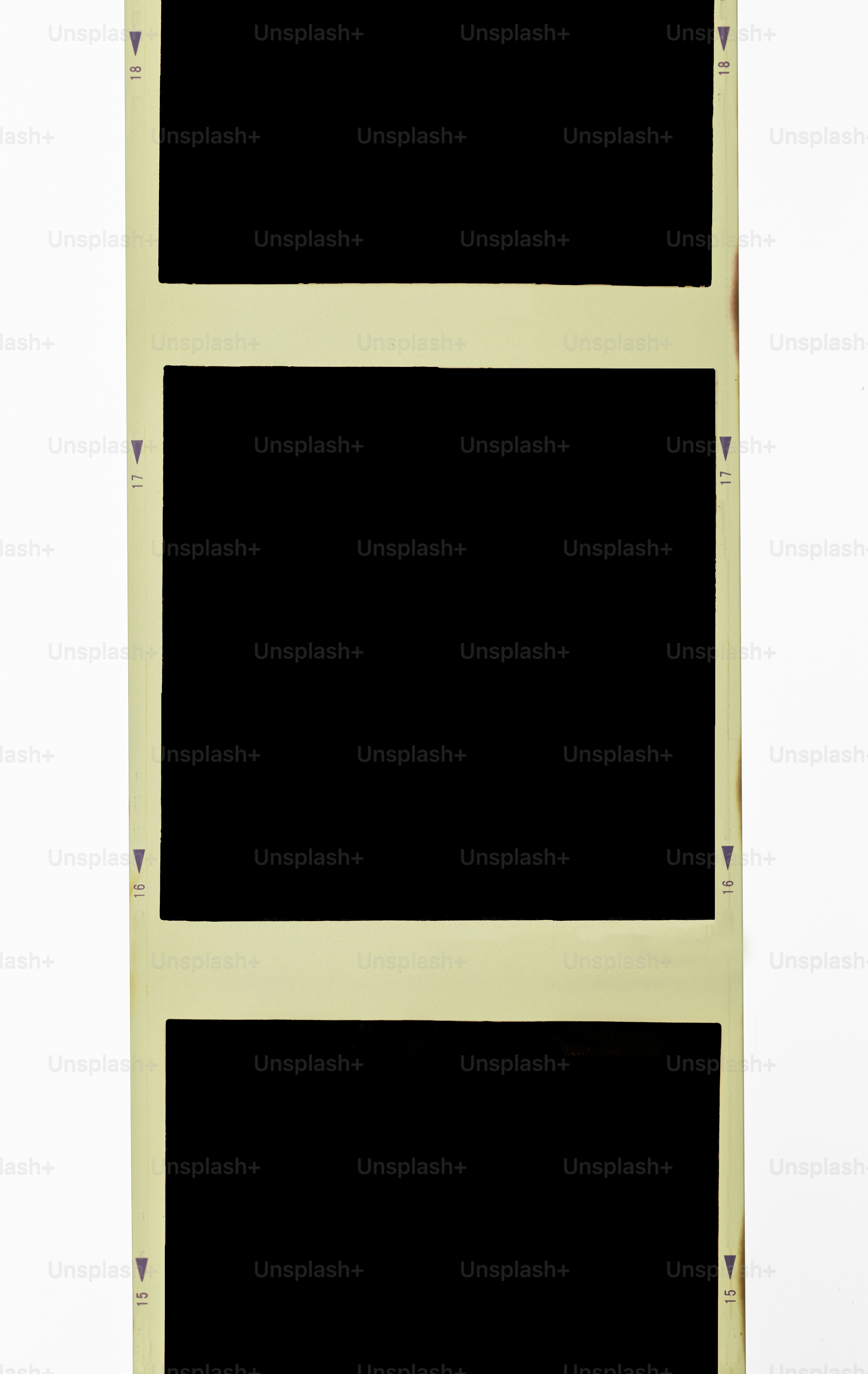 Film strip with blank frames.