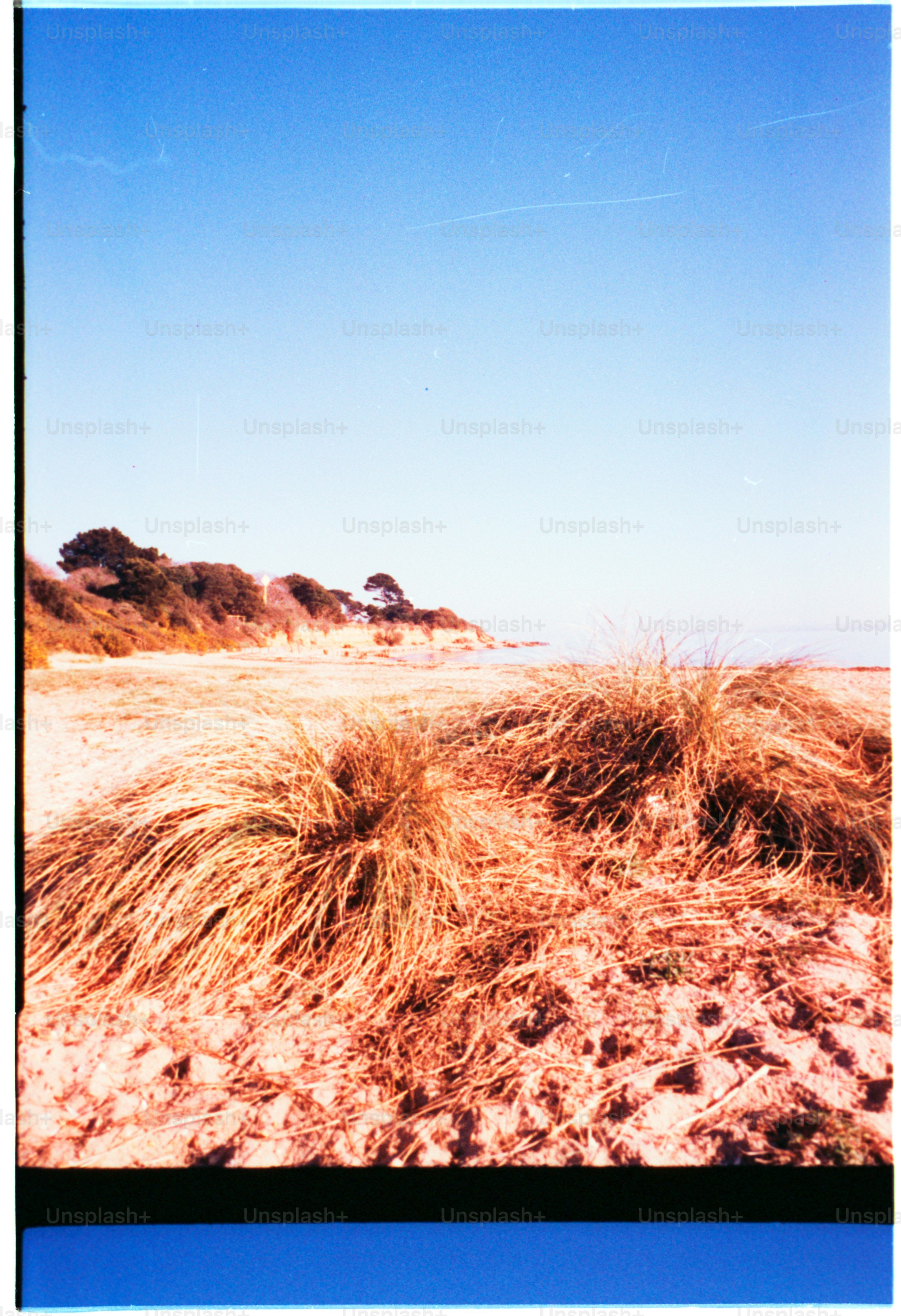 Ein Sandstrand mit Büschen und blauem Himmel.