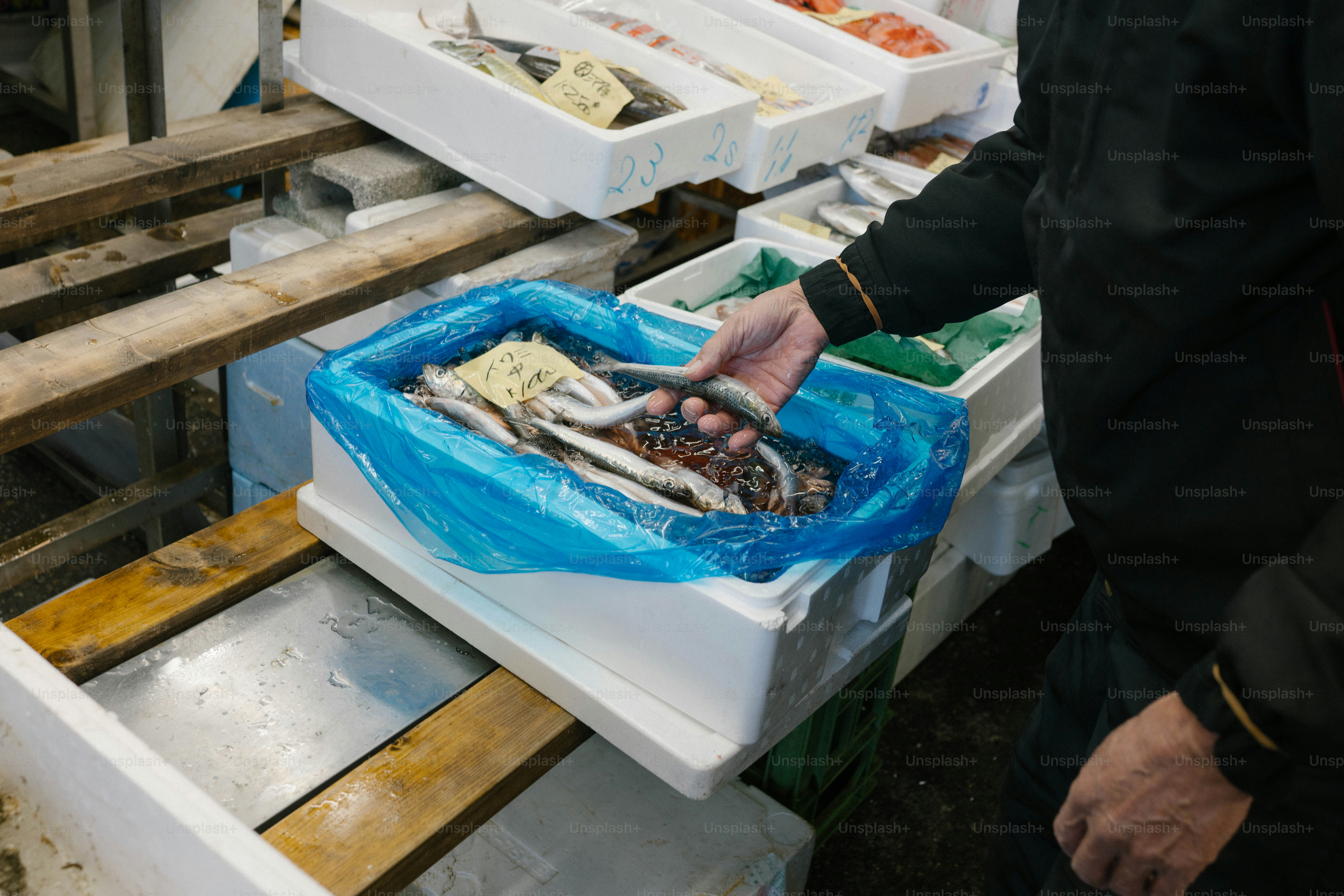 A person sorts through a box of fresh fish
