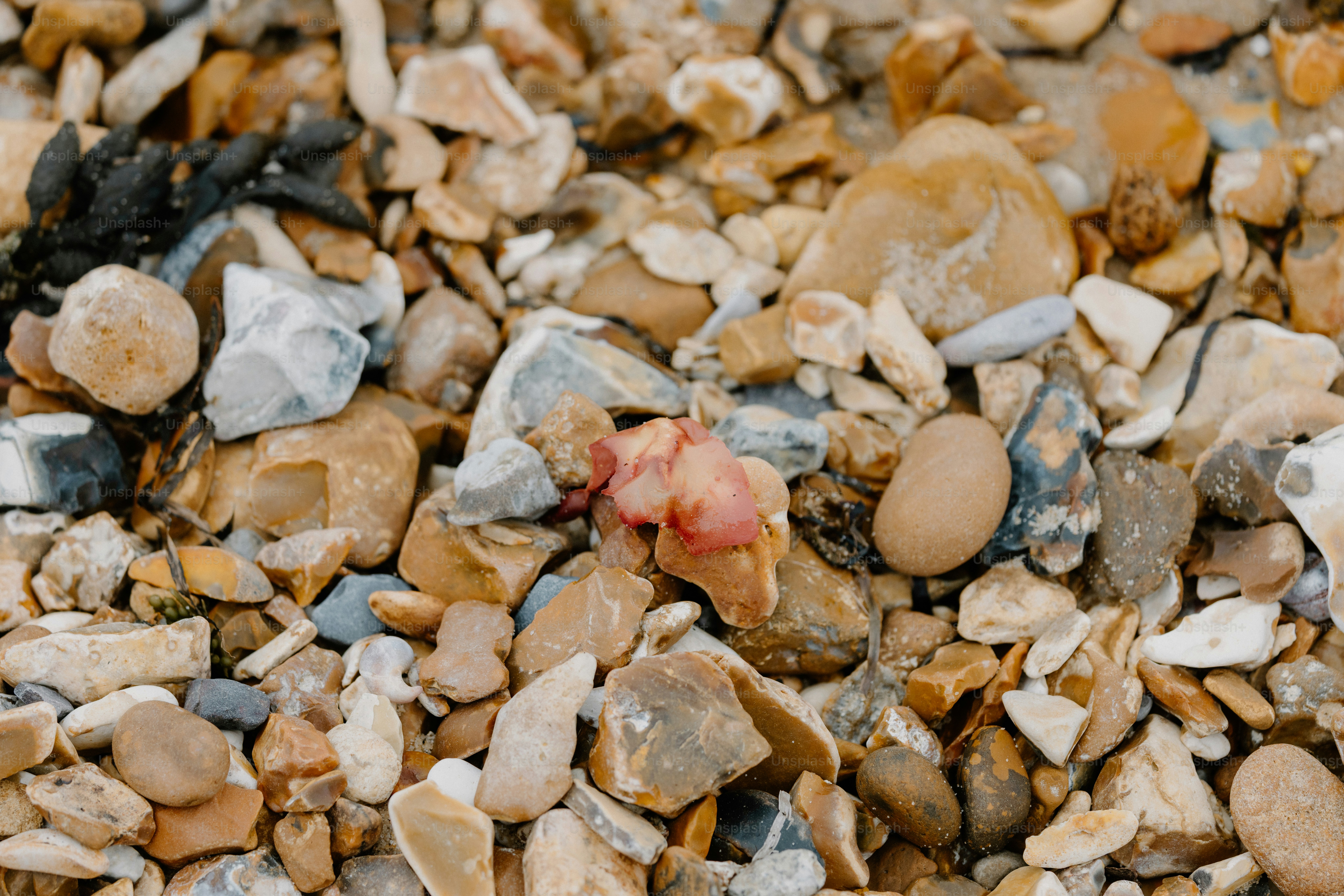 Close-up image of colorful, mixed pebbles and rocks.