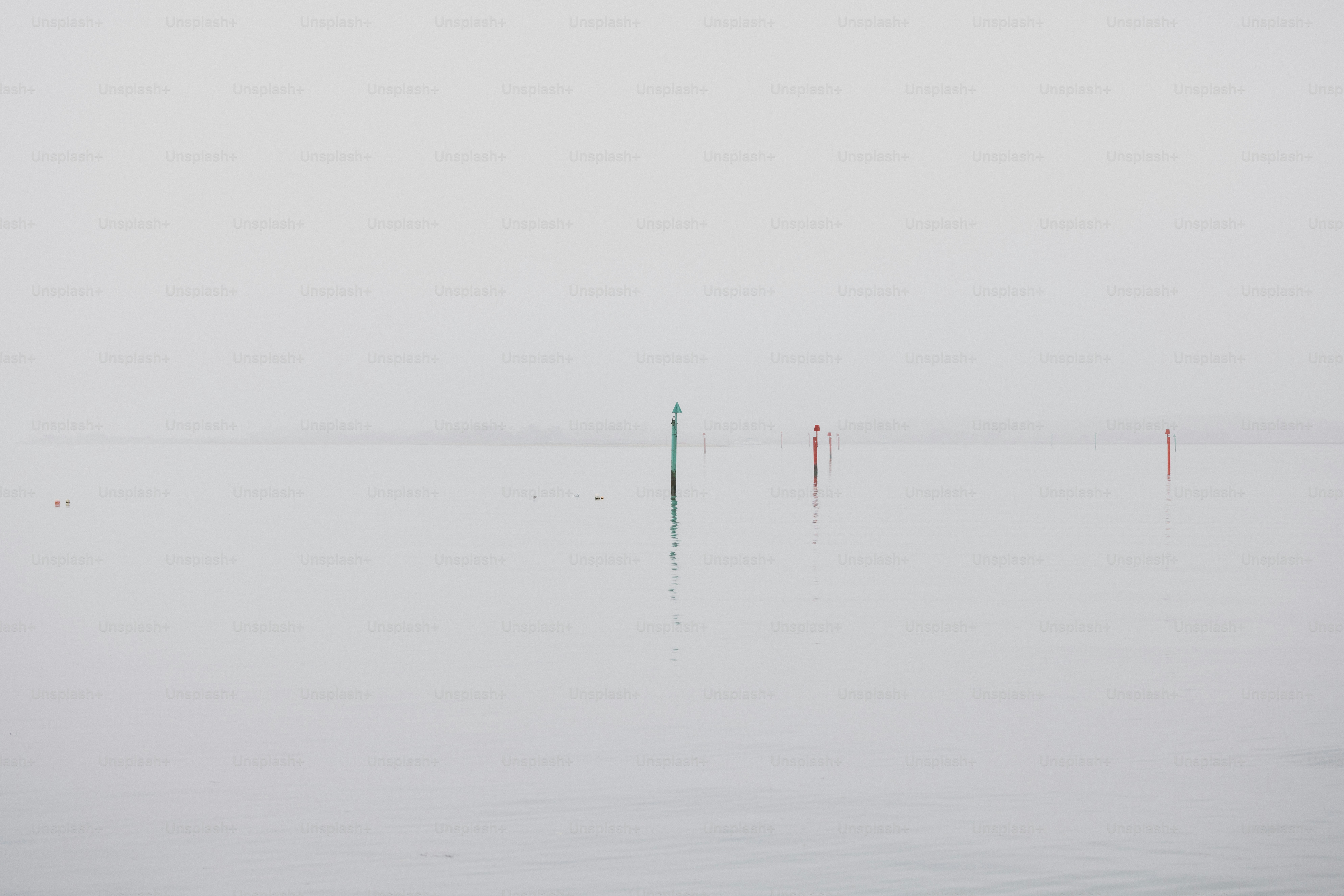 Foggy water with few poles.