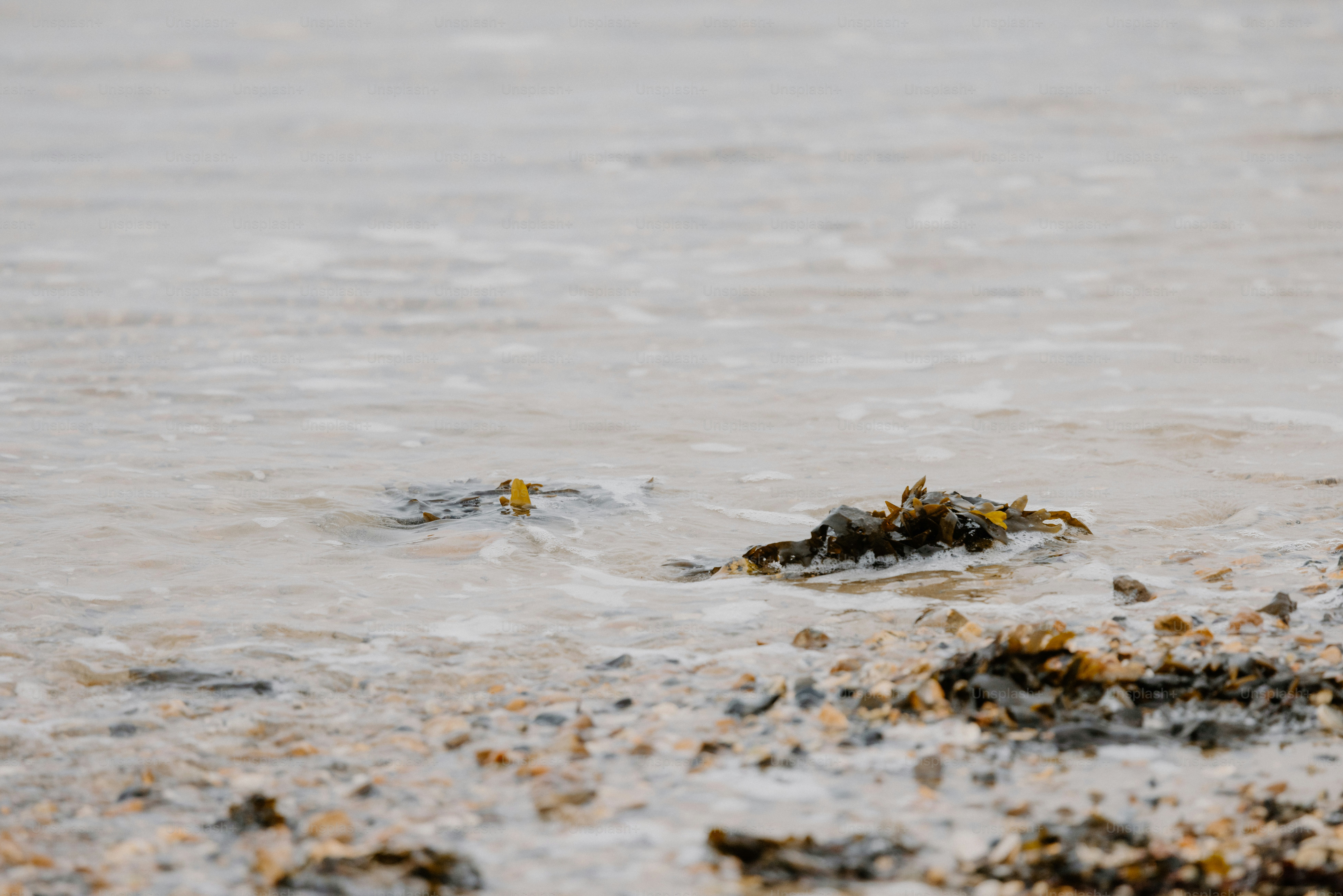 Water laps against the rocky shore.