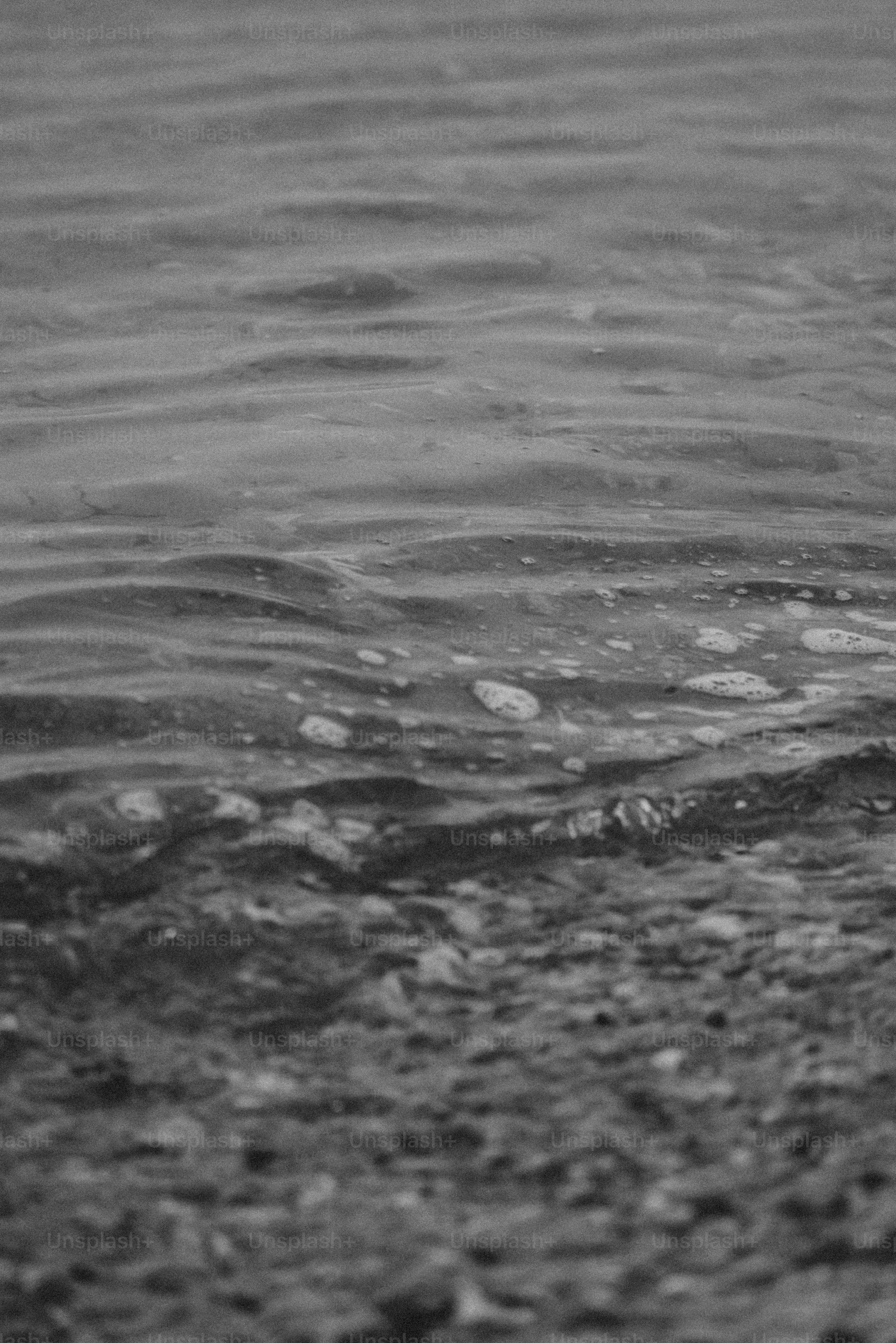 Waves gently lap against the shore.