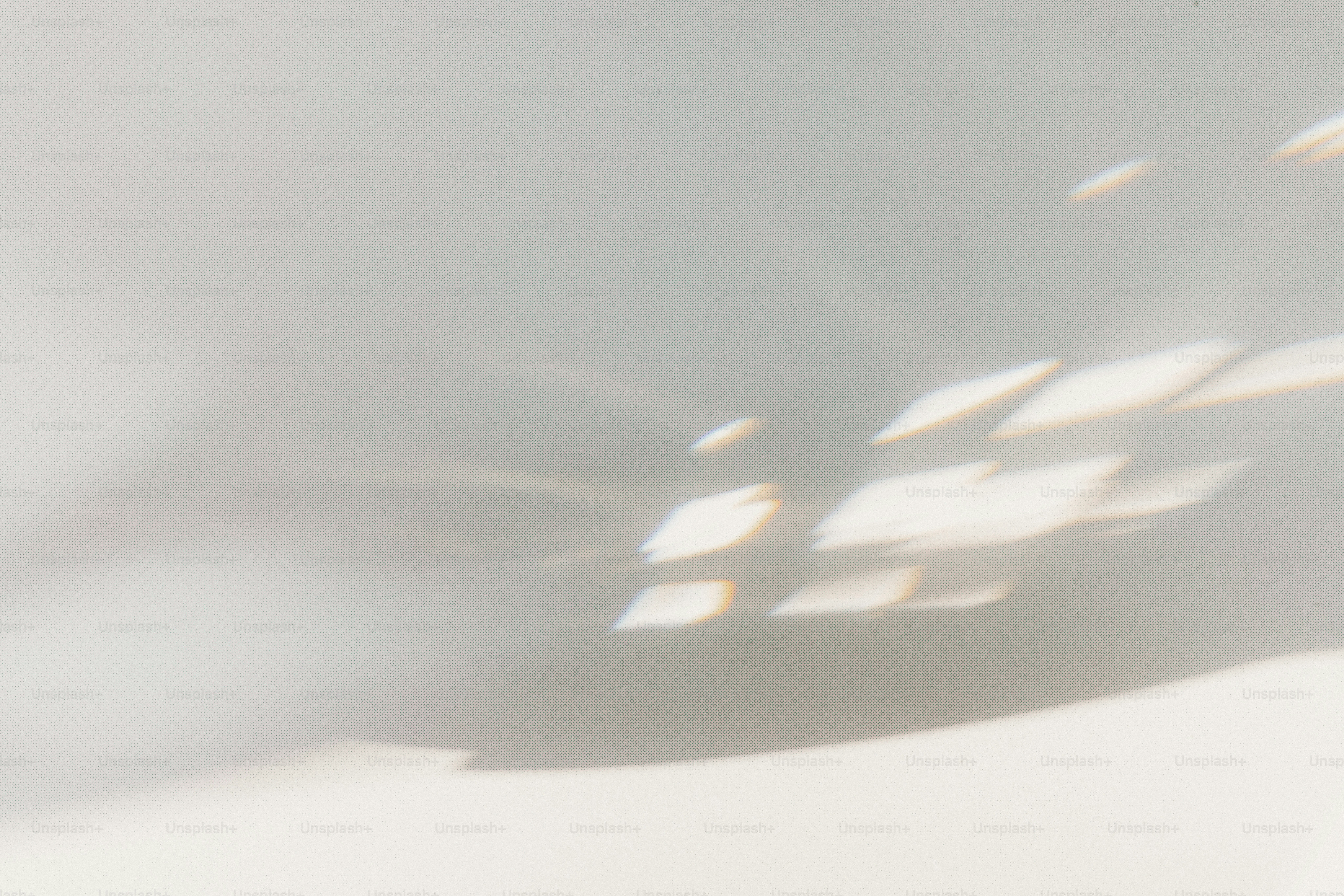 Shadows and light create an abstract, minimalist design.