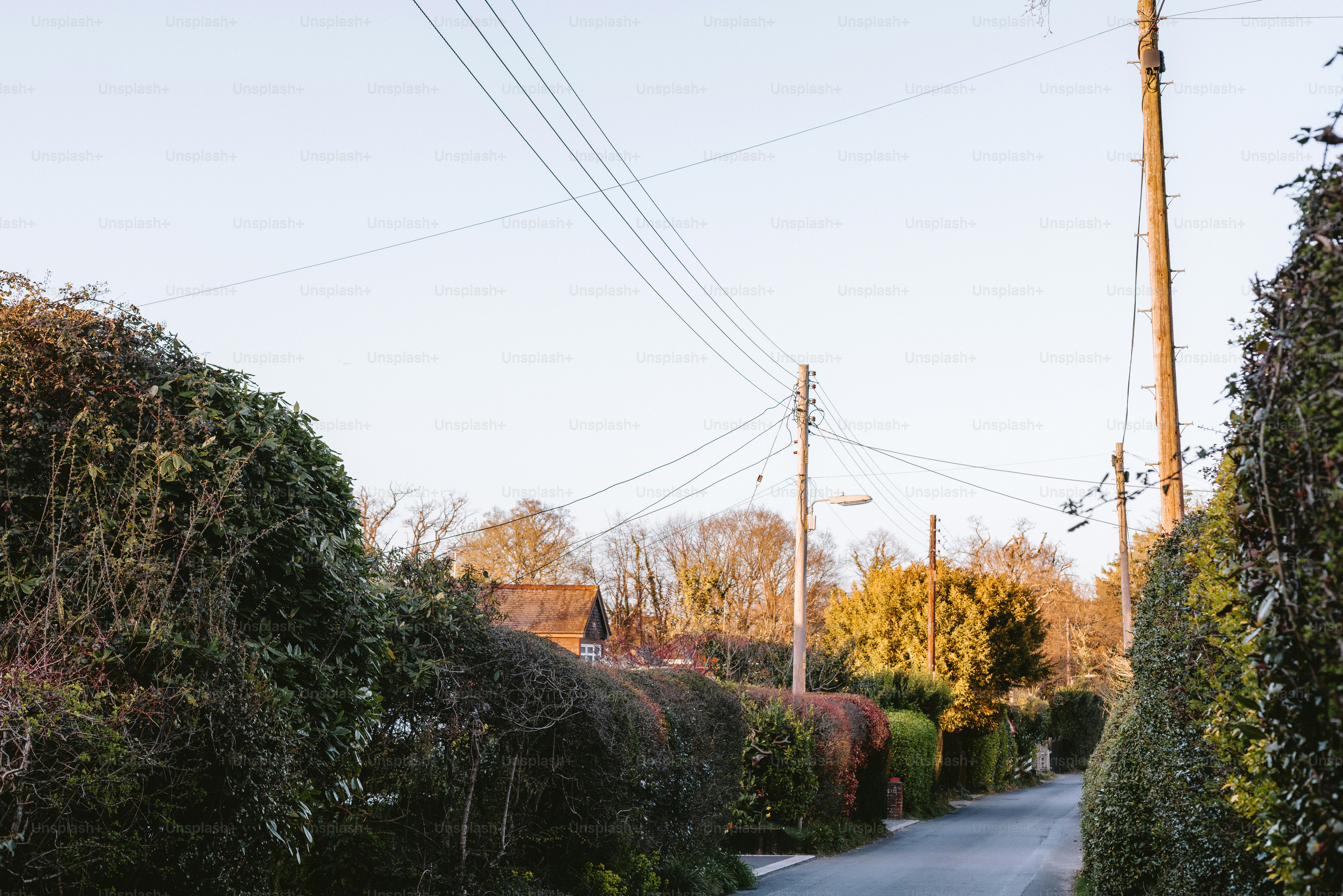 Una strada stretta delimitata da siepi e linee elettriche.