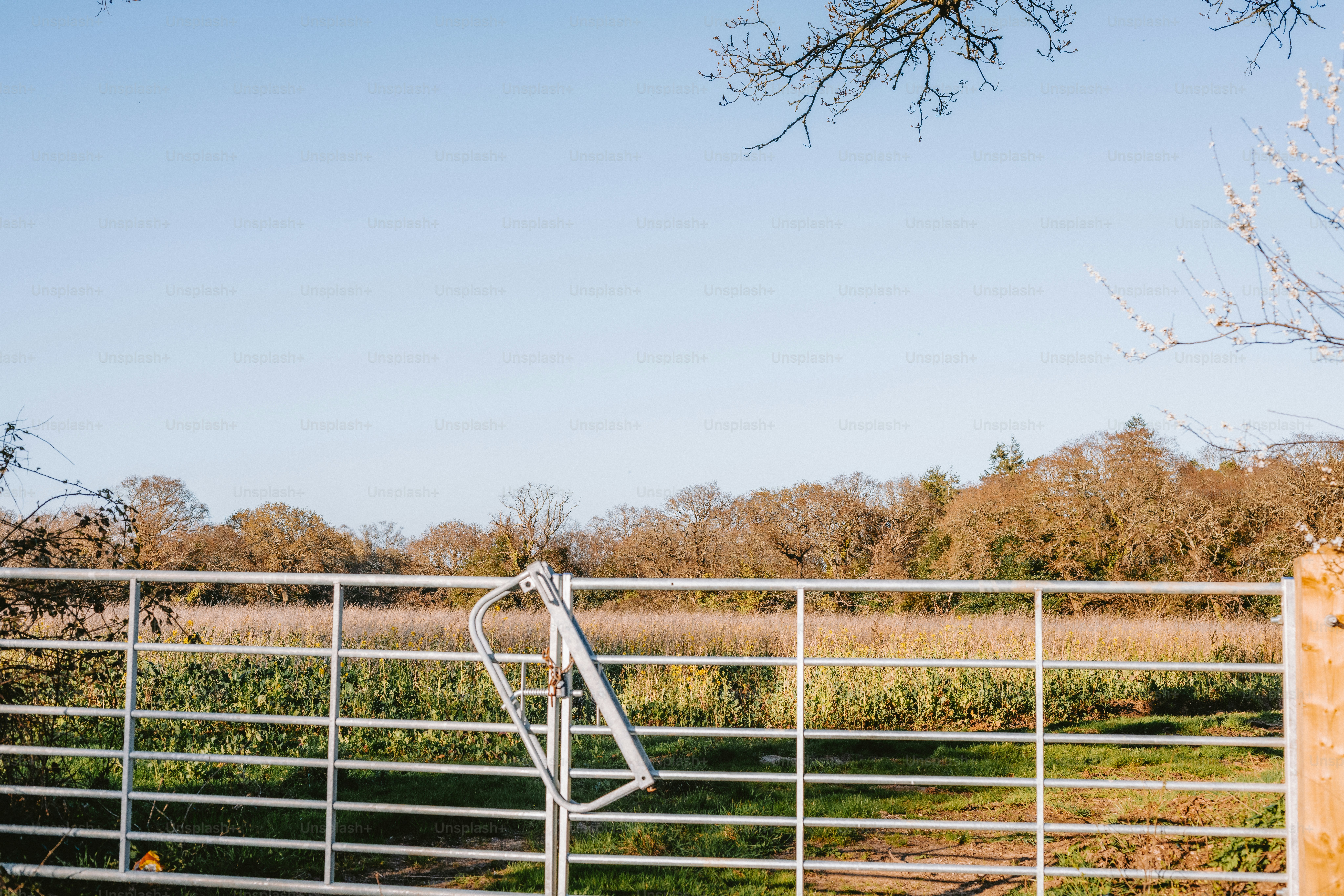 A metal gate sits open in a field.