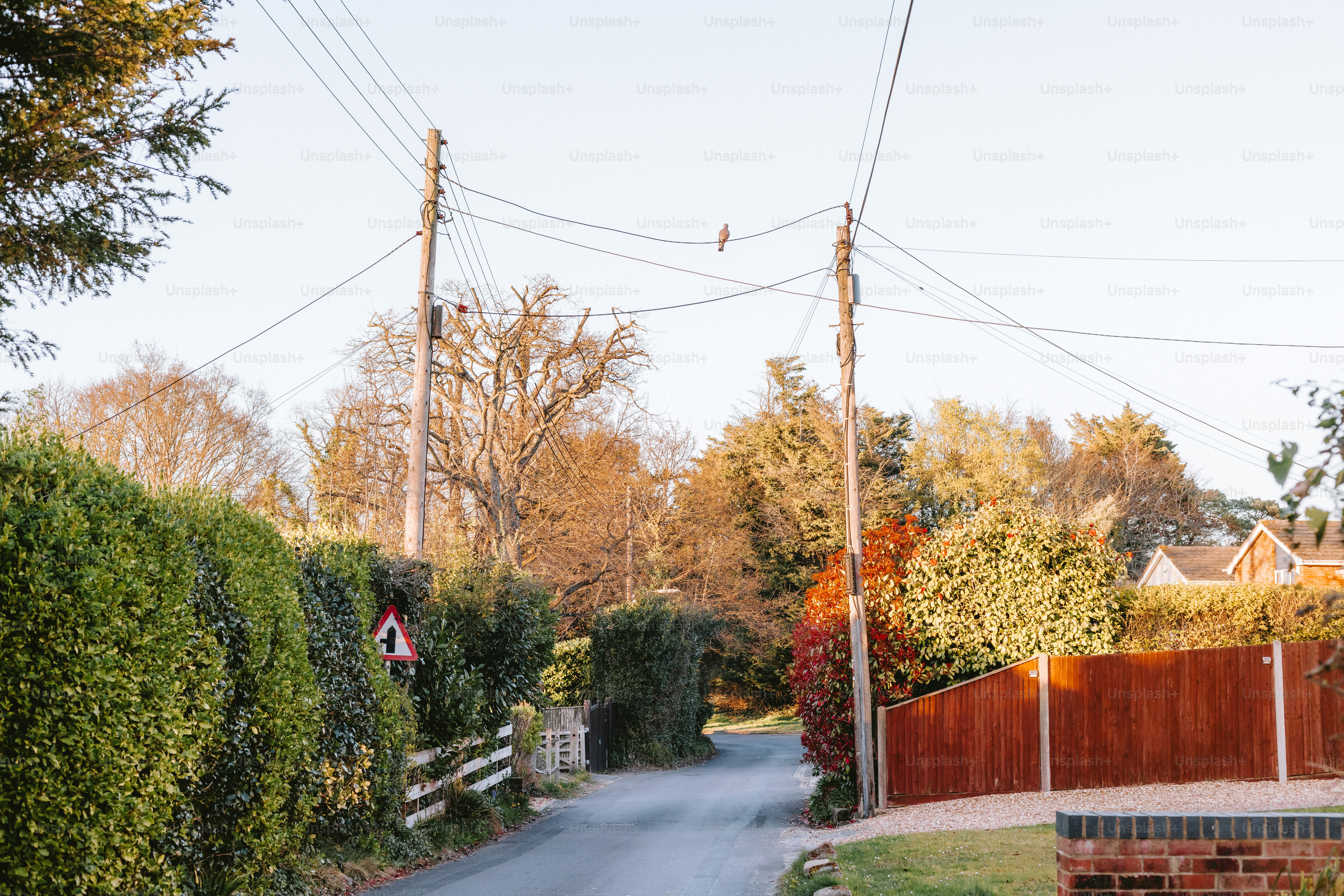 motion sensor solar flood lights illuminating a residential driveway at night