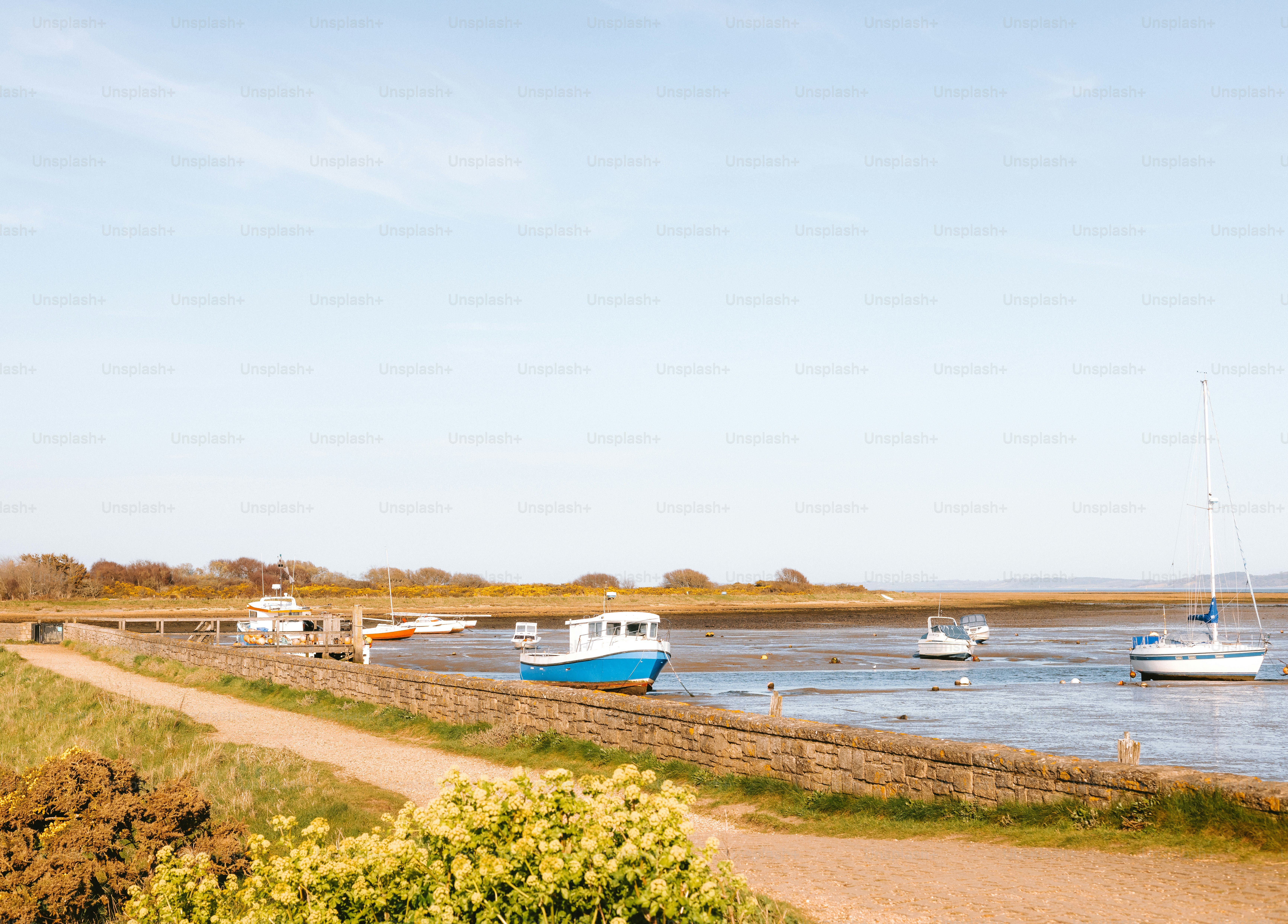 Boats are docked near a sunny shore.