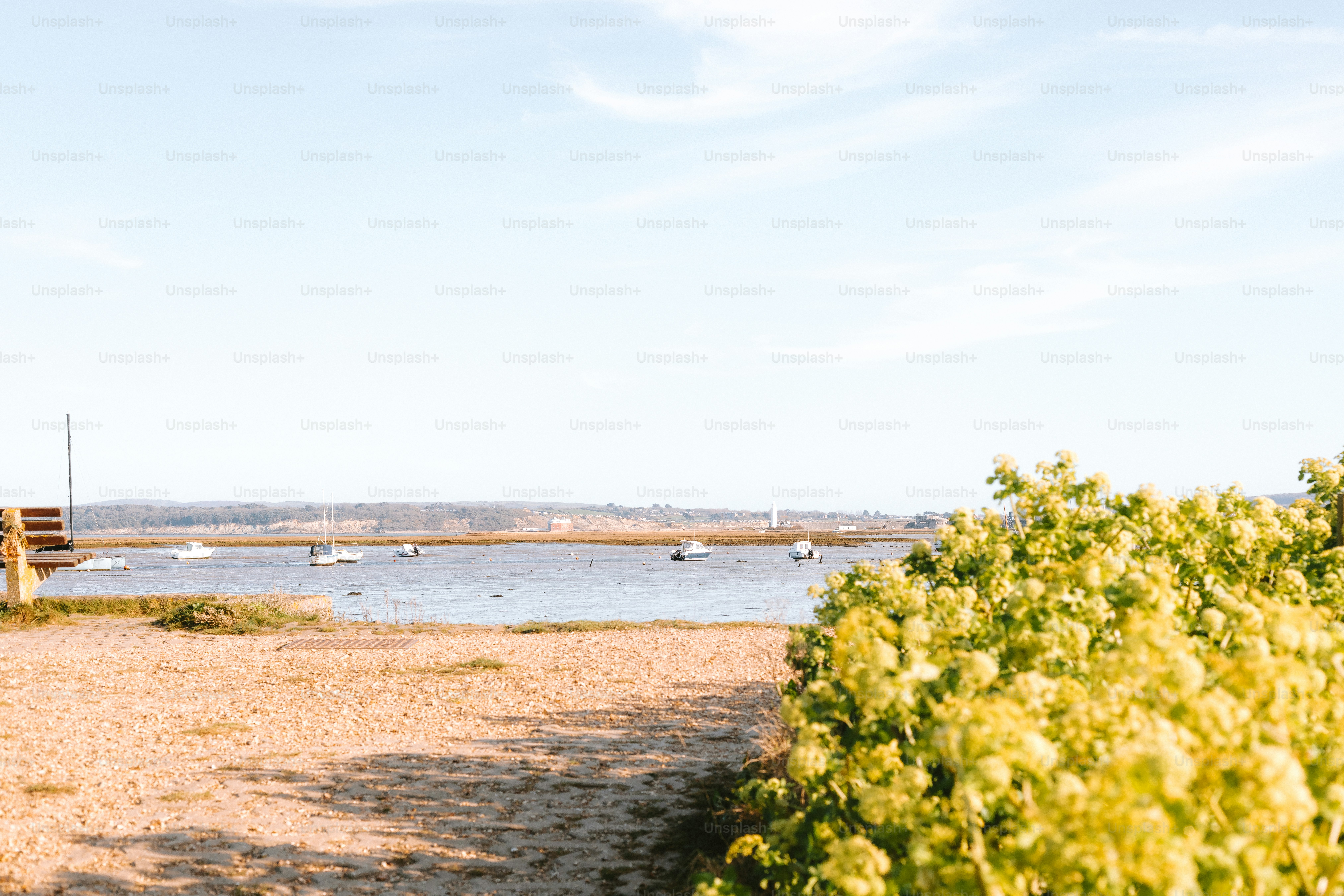 A calm harbor with boats and greenery.