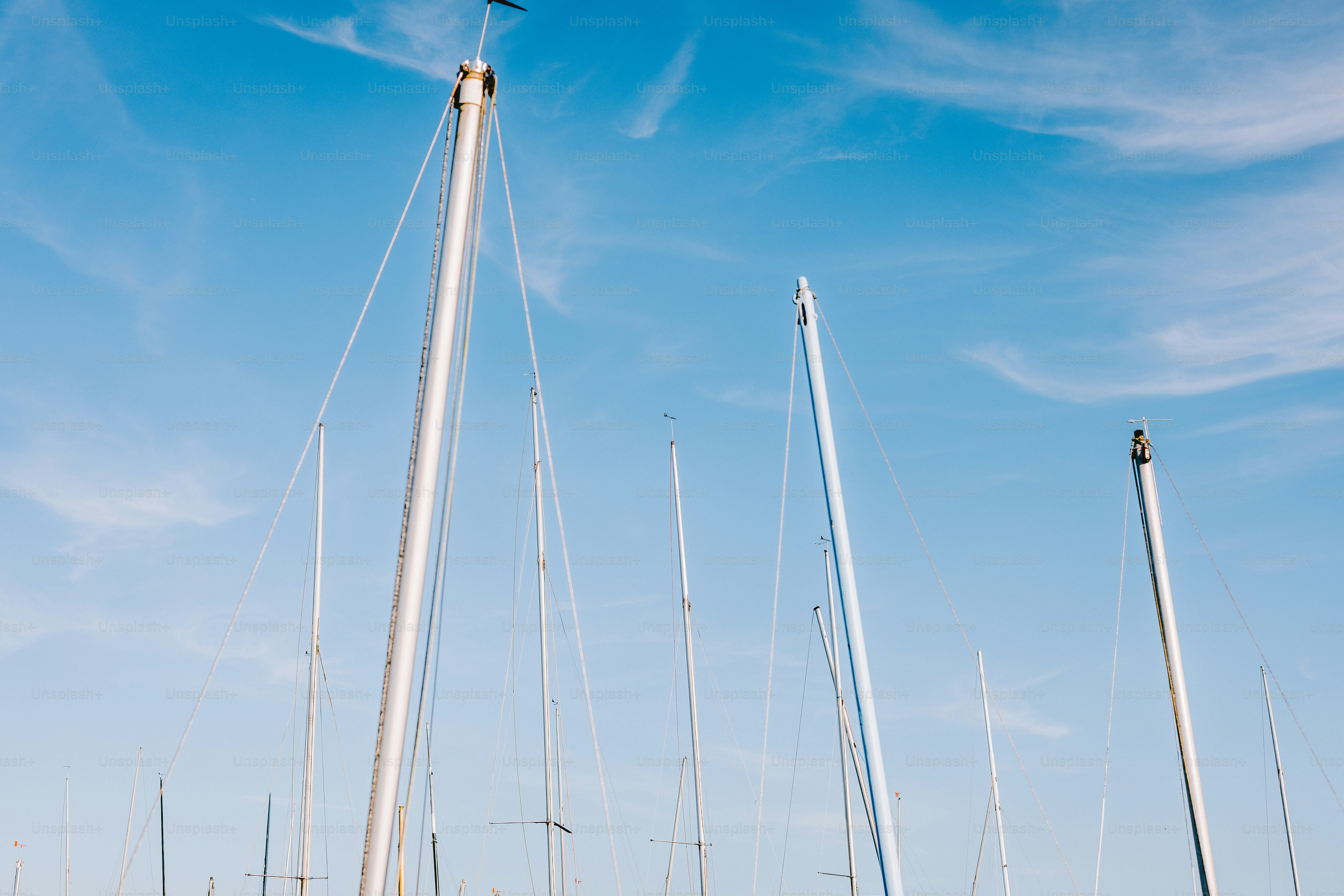 Sails and masts reaching towards a blue sky.