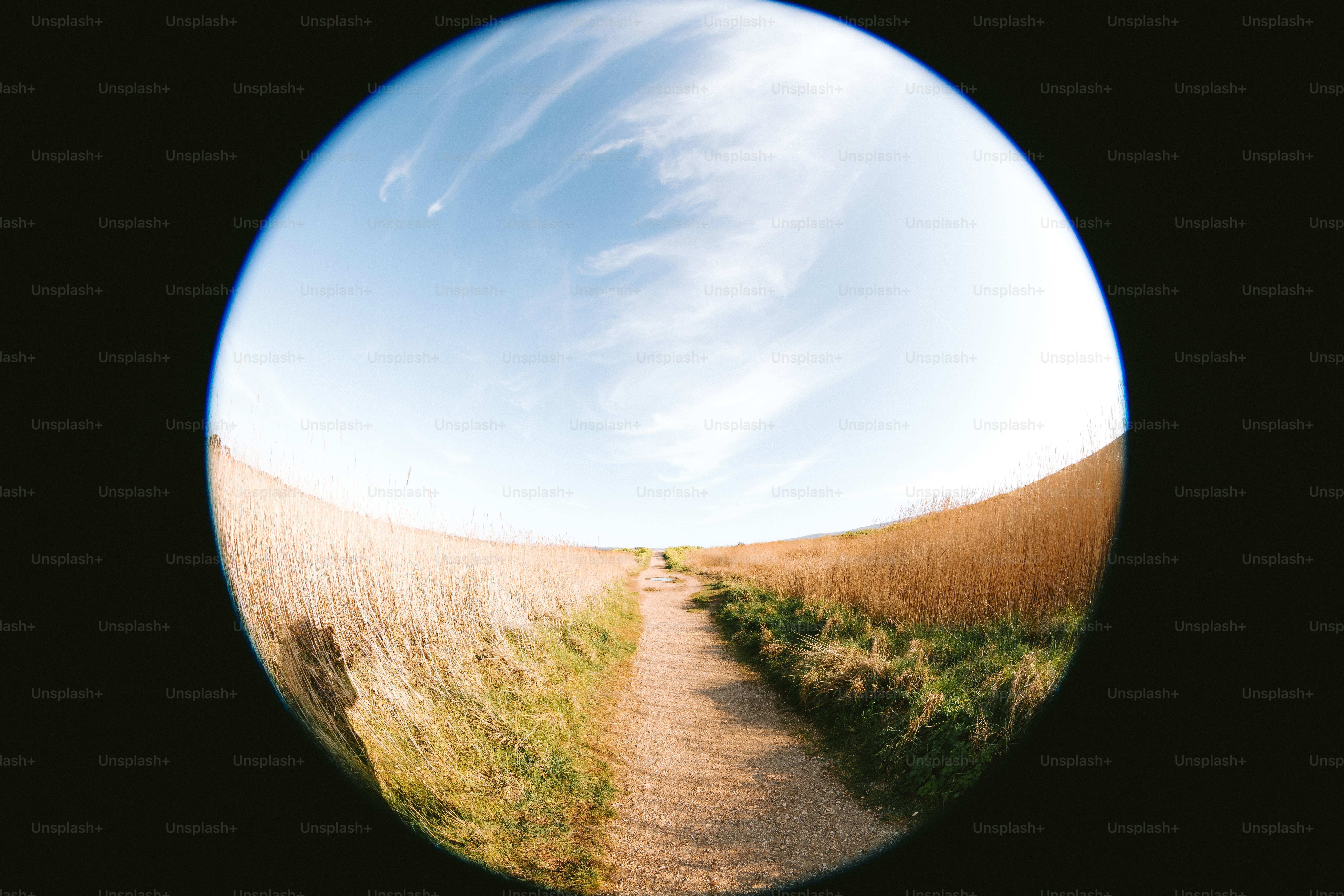 A path leads to the horizon under a blue sky.