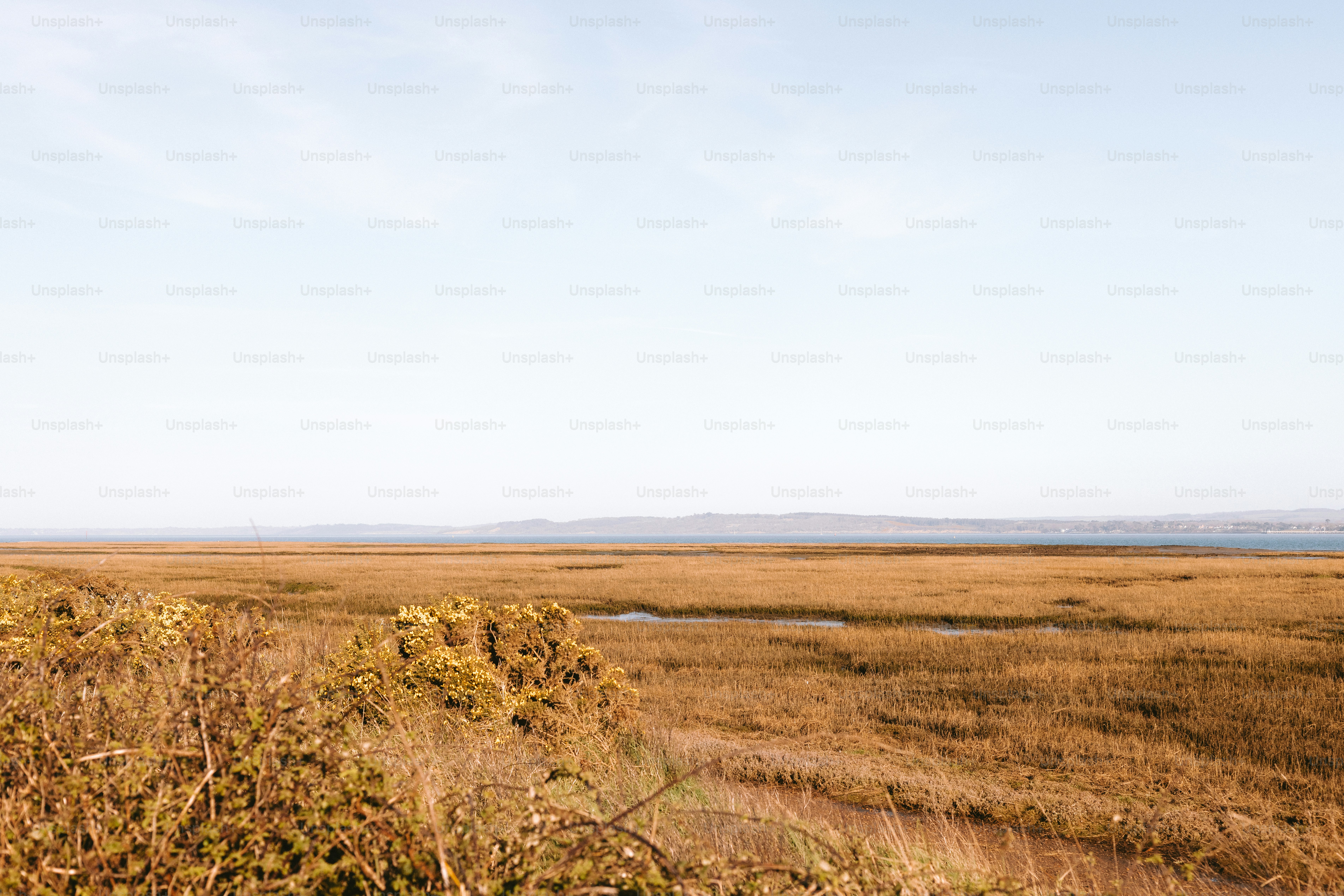 Un pantano marrón se extiende hacia el horizonte.