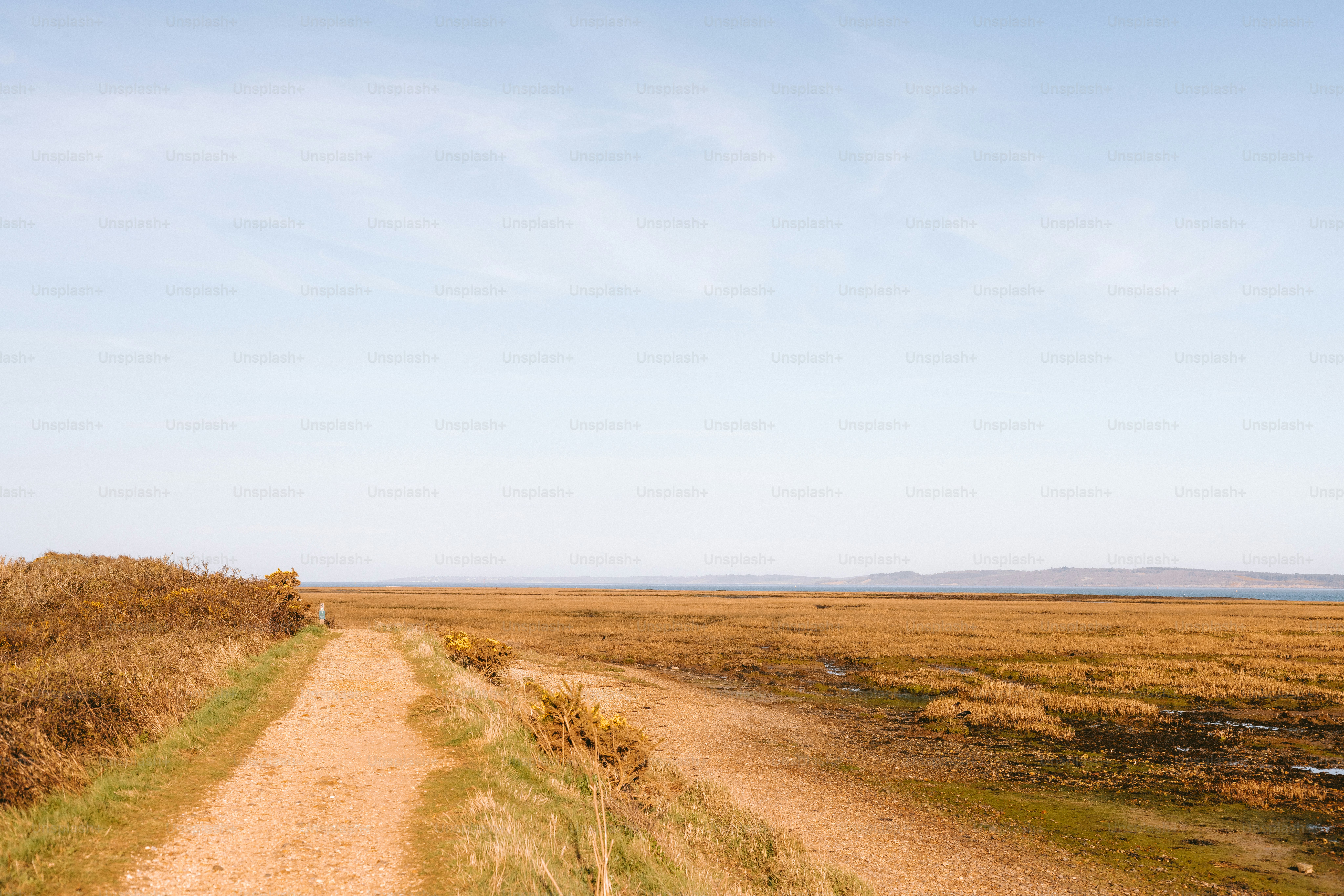A dirt road leads across a field.