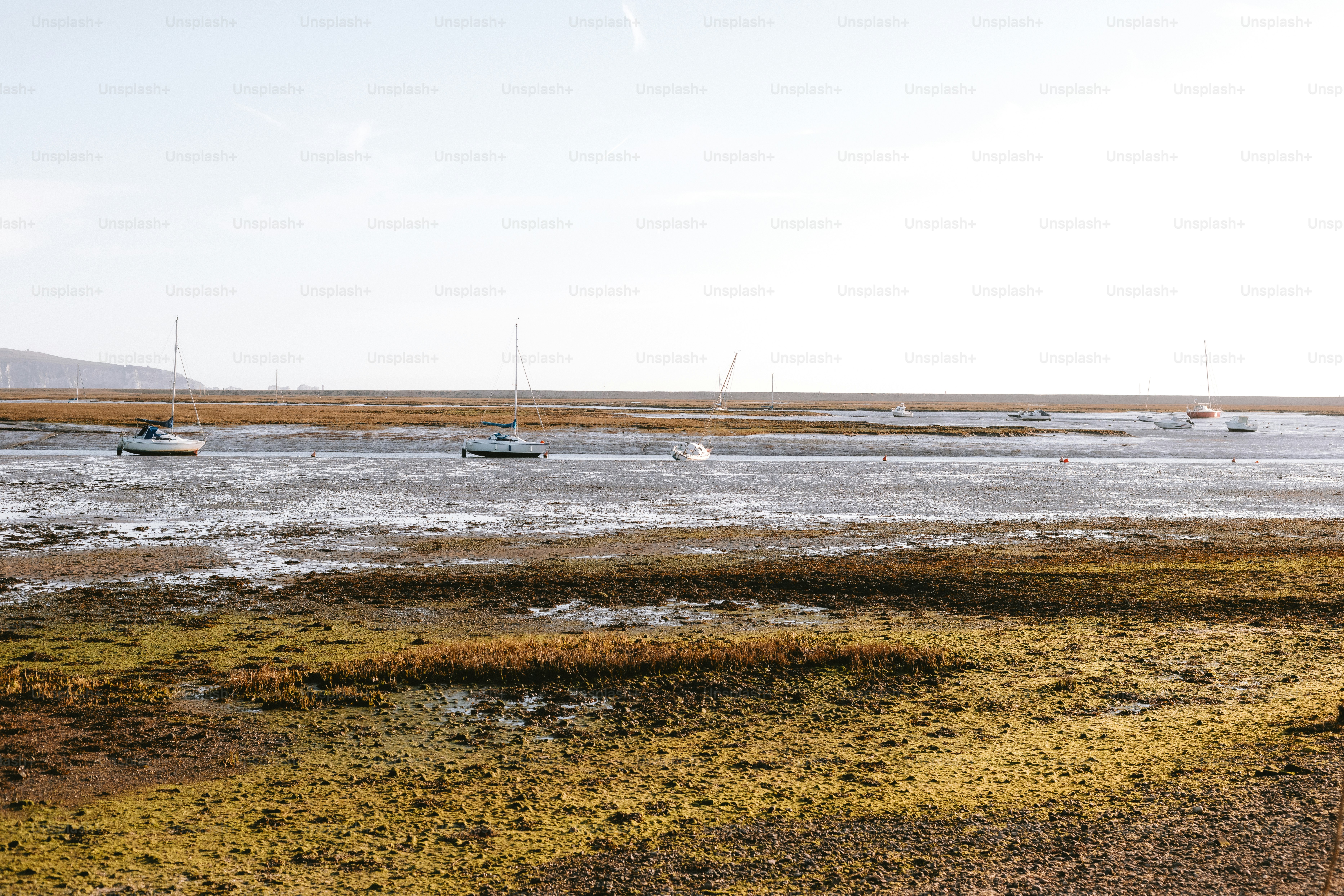 Boats are grounded on the mud at low tide.