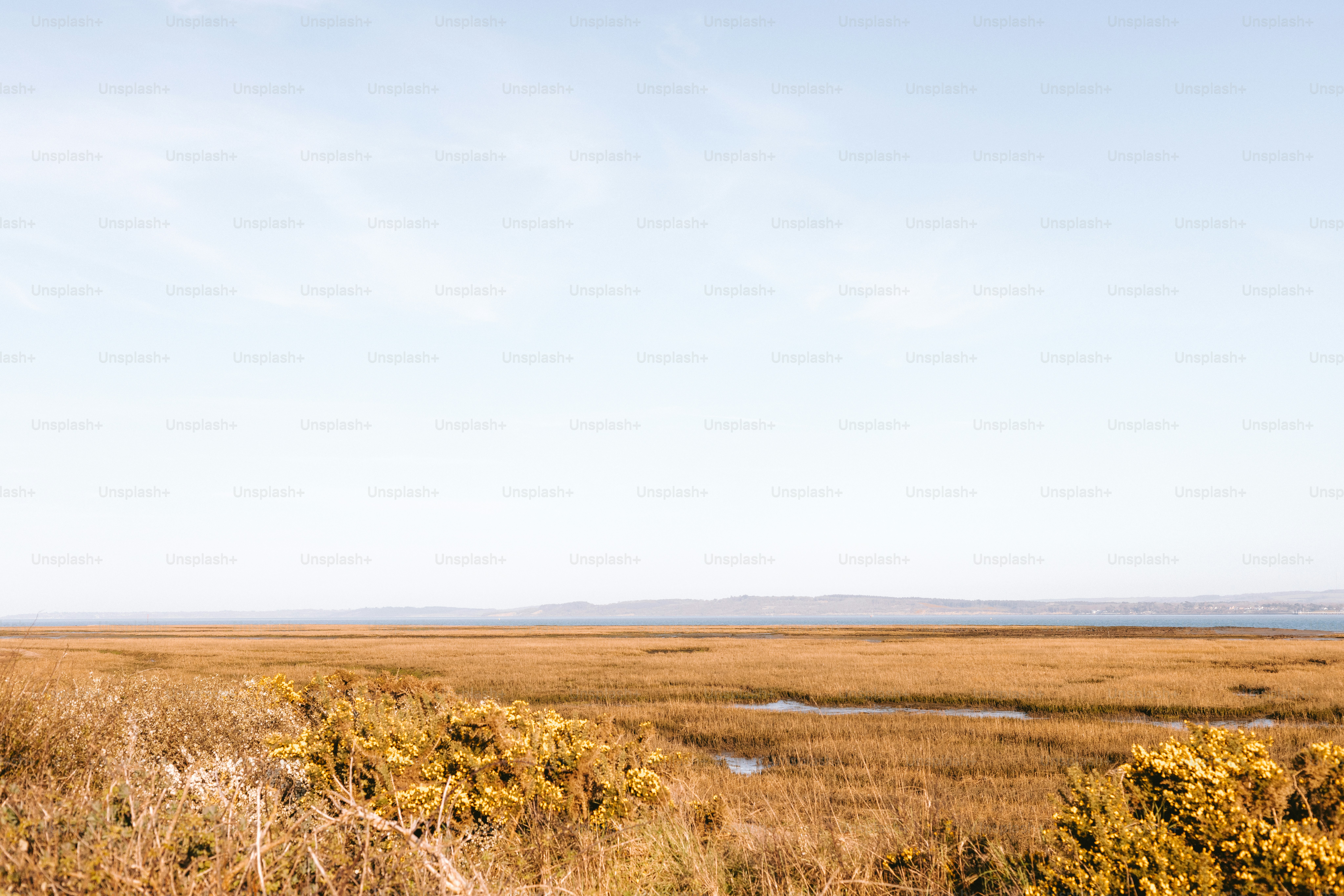 A vast marsh stretches beneath a clear, bright sky.