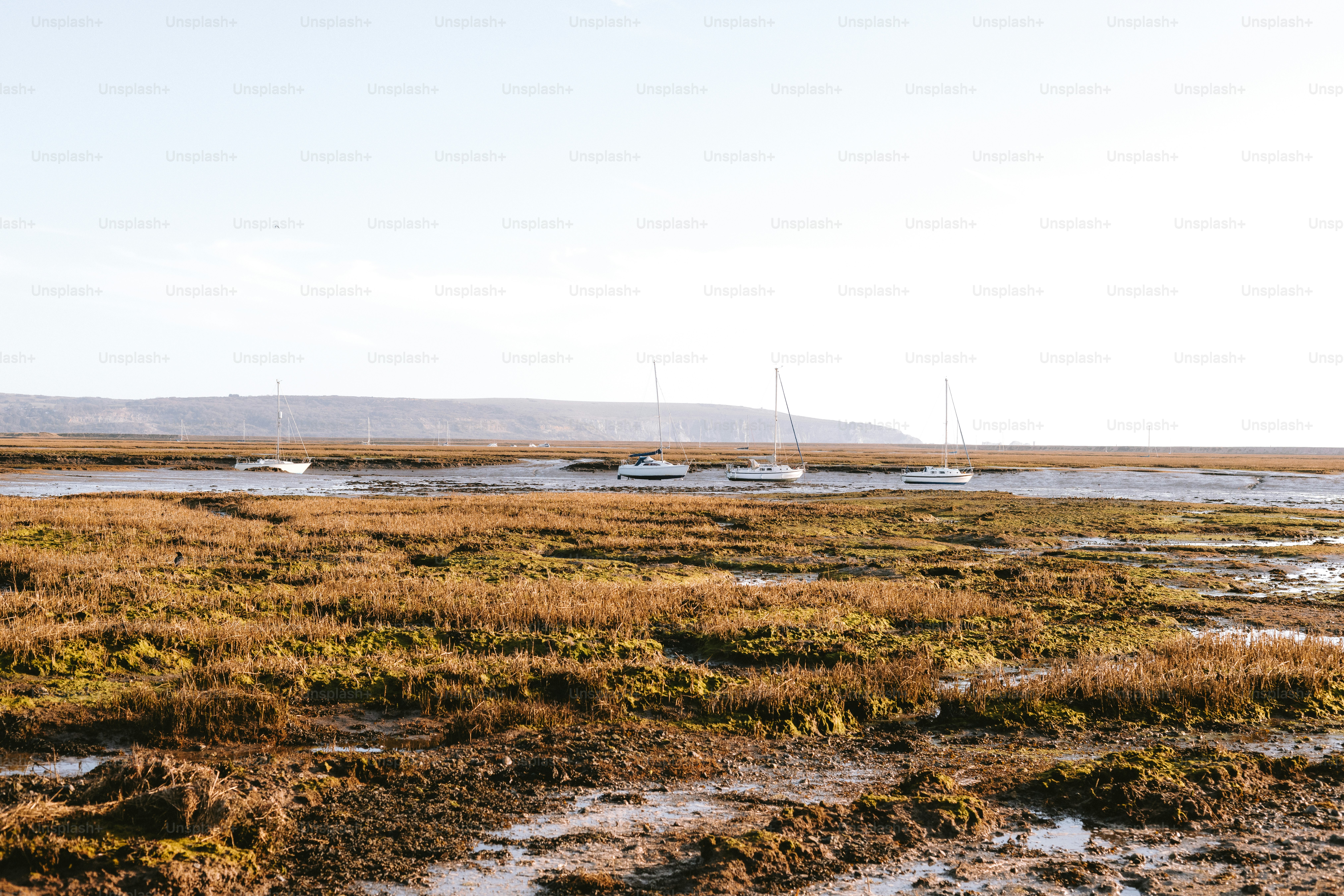 Boats rest on the shore of a marshy area.